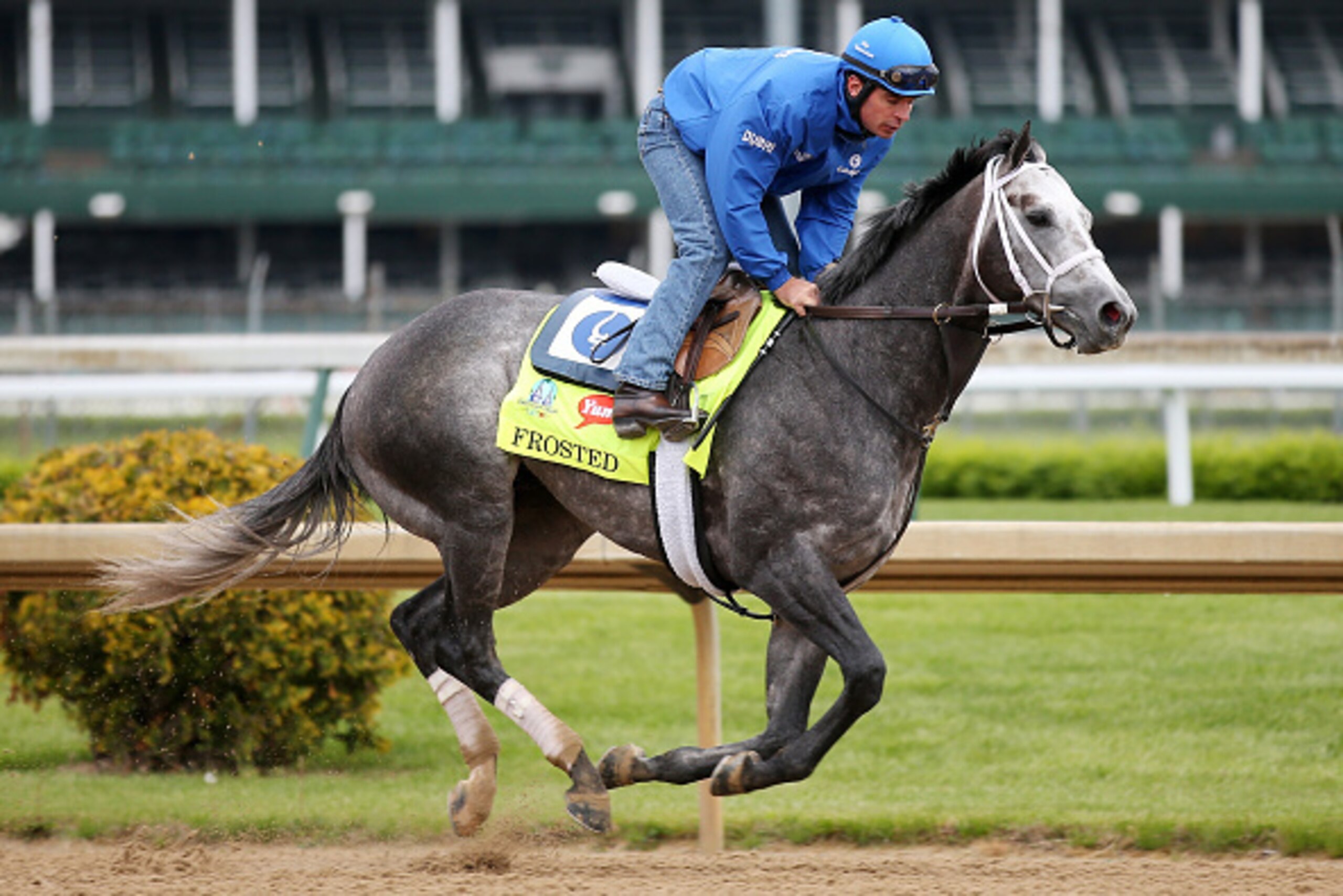 LOUISVILLE, KY - APRIL 30: Frosted goes over the track during morning training for the Kentucky Derby at Churchill Downs on April 30, 2015 in Louisville, Kentucky. (Photo by Chris Graythen/Getty Images) LOUISVILLE, KY - APRIL 30: Frosted goes over the track during morning training for the Kentucky Derby at Churchill Downs on April 30, 2015 in Louisville, Kentucky. (Photo by Chris Graythen/Getty Images)