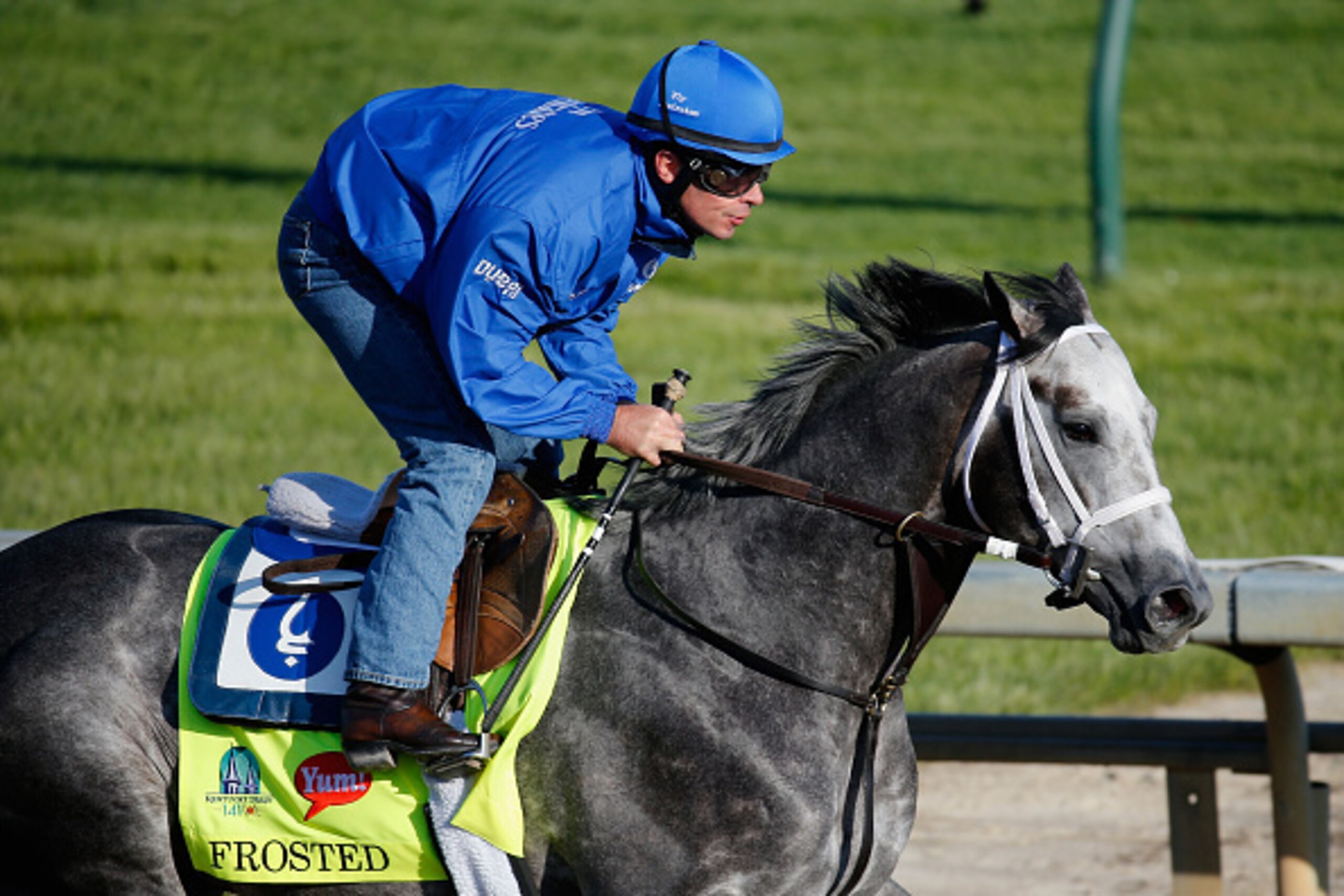 LOUISVILLE, KY - APRIL 29: Frosted goes over the track during morning training for the Kentucky Derby at Churchill Downs on April 29, 2015 in Louisville, Kentucky.  (Photo by Rob Carr/Getty Images)