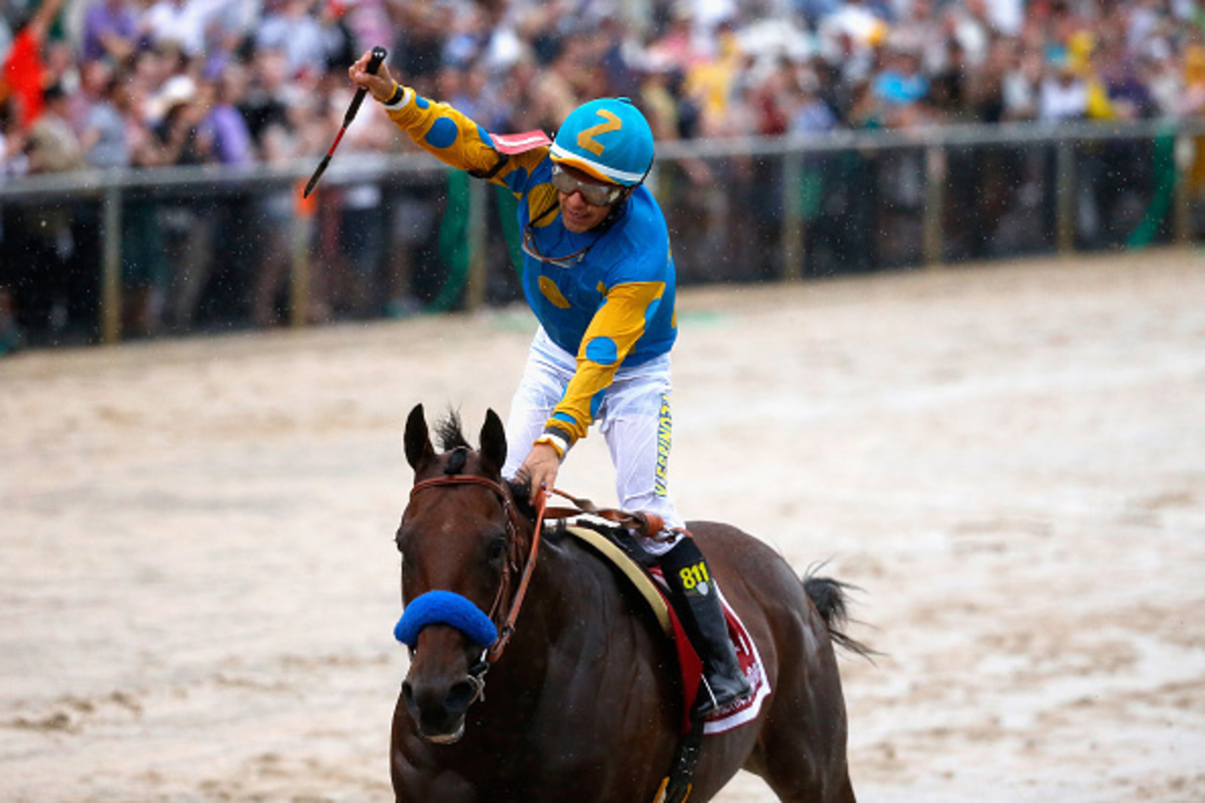 BALTIMORE, MD - MAY 16:  Jockey Victor Espinoza celebrates aboard American Pharoah #1 after crossing the finish line to win the 140th running of the Preakness Stakes at Pimlico Race Course on May 16, 2015 in Baltimore, Maryland.  (Photo by Rob Carr/Getty 