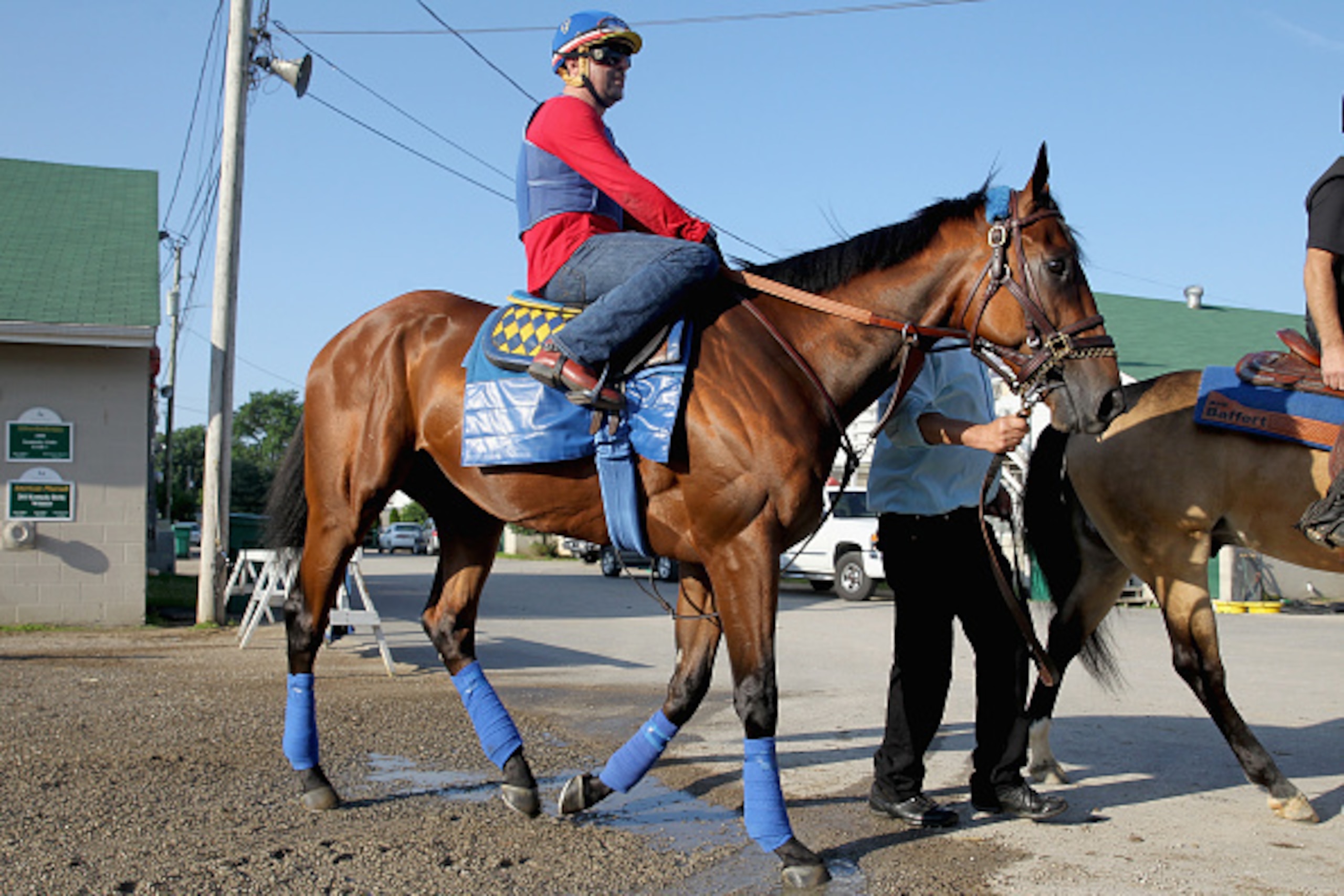 LOUISVILLE, KY - MAY 30:  American Pharoah walks to the track for training in preparation of the Belmont Stakes at Churchill Downs on May 30, 2015 in Louisville, Kentucky.  (Photo by Andy Lyons/Getty Images)