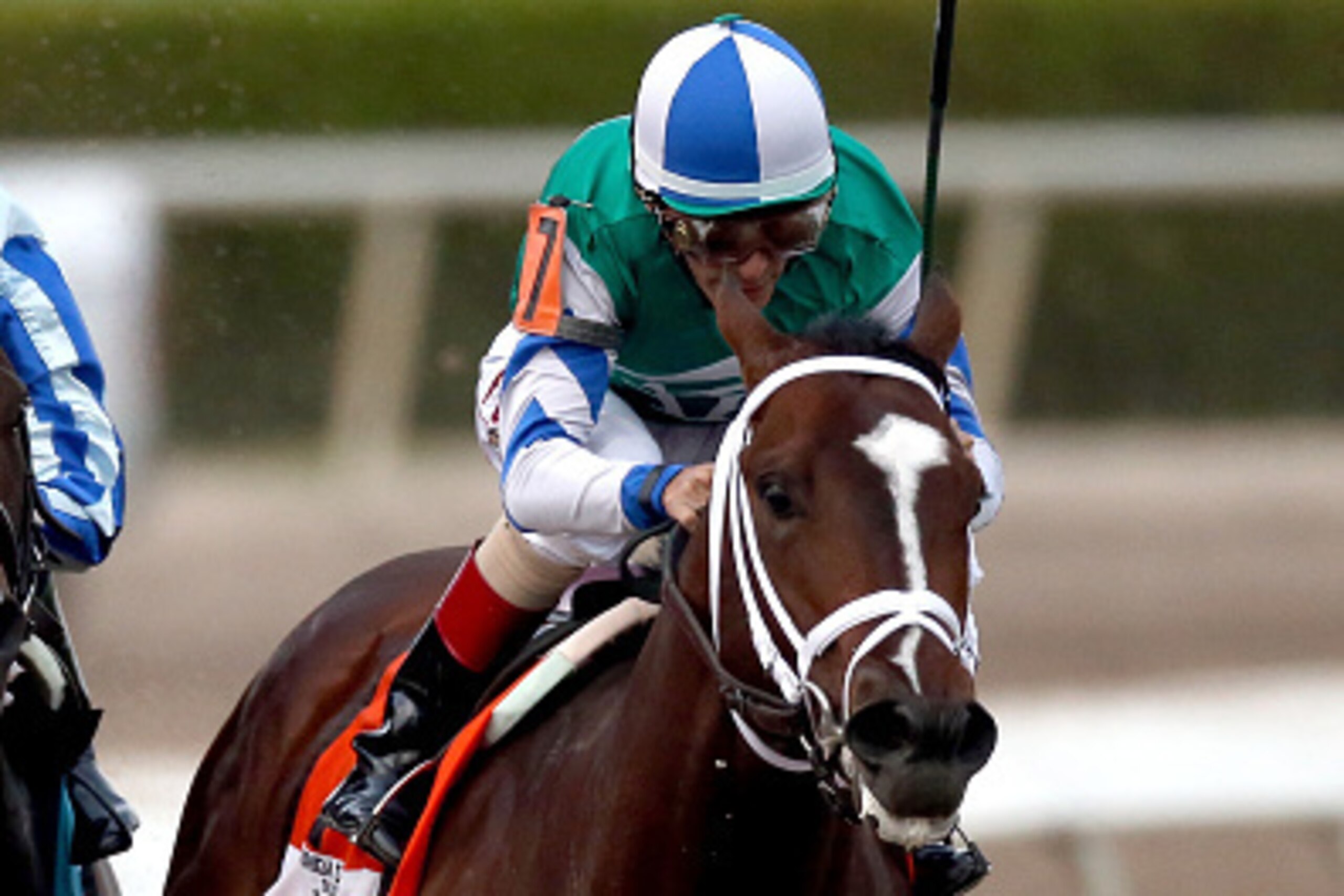 HALLANDALE, FL - MARCH 28:  Materiality, riden by John Velazquez, leads the field out of turn four during the Besilu Stables Florida Derby at Gulfstream Park on March 28, 2015 in Hallandale, Florida.  (Photo by Matthew Stockman/Getty Images)