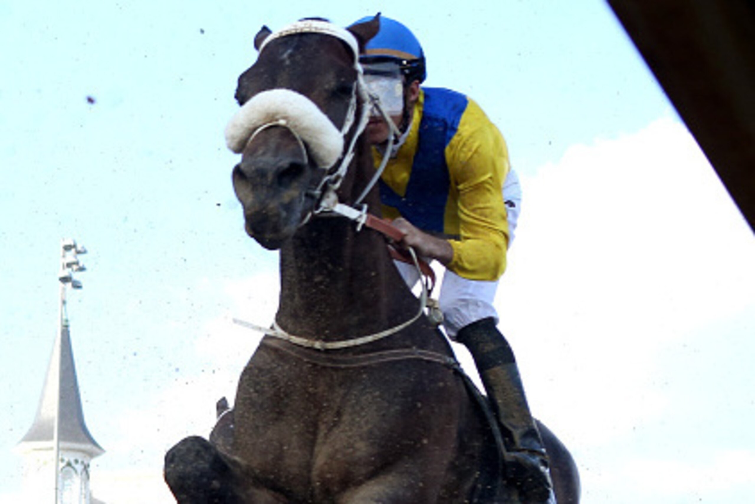LOUISVILLE, KY - MAY 02:  Mubtaahij #6, ridden by Christophe Soumillon, races down frontstretch during the 141st running of the Kentucky Derby at Churchill Downs on May 2, 2015 in Louisville, Kentucky.  (Photo by Rob Carr/Getty Images)