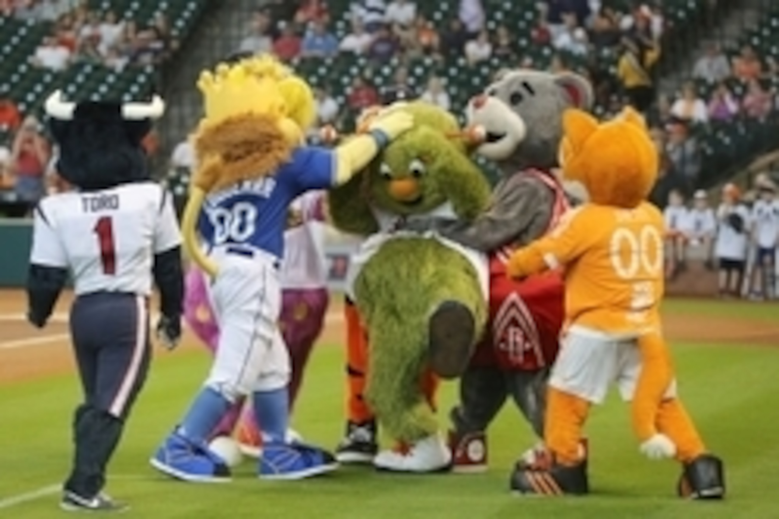 May 31, 2015; Houston, TX, USA; Macots help Houston Astros mascot