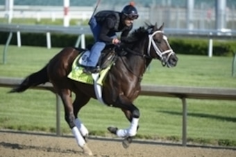 Apr 28, 2015; Louisville, KY, USA; An exercise rider works out Kentucky Derby hopeful Materiality at Churchill Downs. Mandatory Credit: Jamie Rhodes-USA TODAY Sports