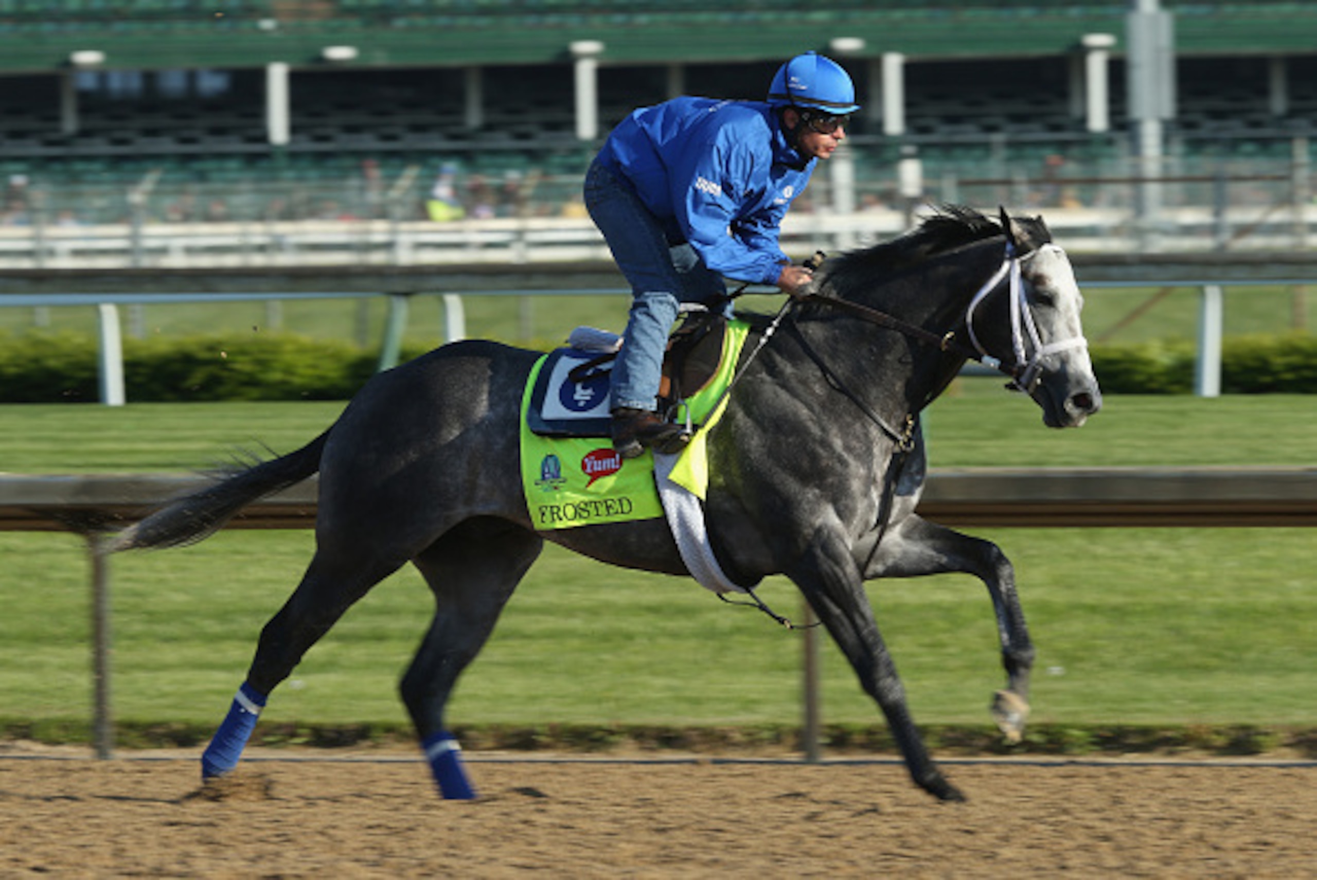 LOUISVILLE, KY - APRIL 29:  Frosted runs on the track during the morning training for the kentucky Derby at Churchill Downs on April 29, 2015 in Louisville, Kentucky.  (Photo by Andy Lyons/Getty Images)