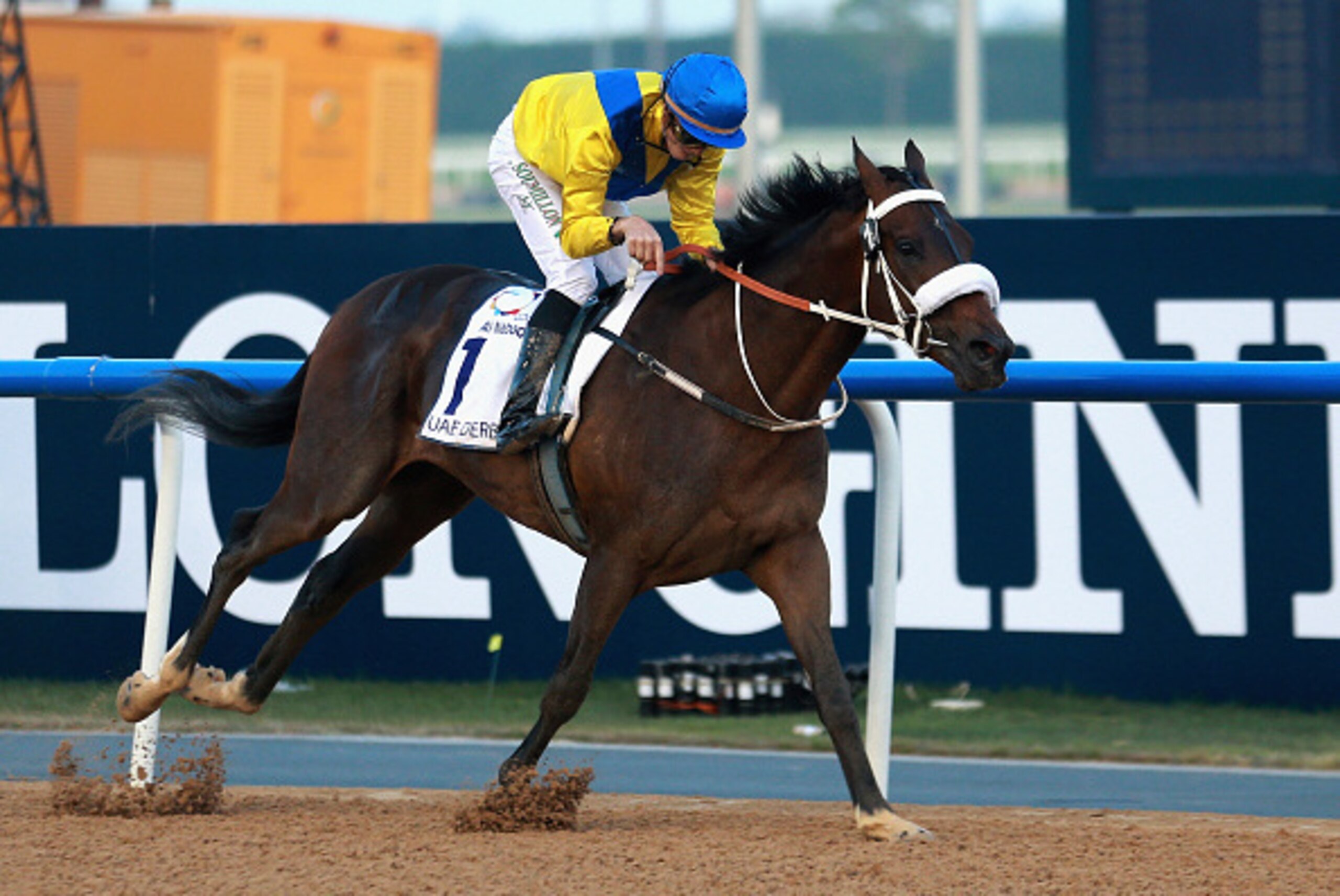 DUBAI, UNITED ARAB EMIRATES - MARCH 28:  Mubtaahij ridden by Christophe Soumillon wins the UAE Derby during the Dubai World Cup at the Meydan Racecourse on March 28, 2015 in Dubai, United Arab Emirates.  (Photo by Warren Little/Getty Images)