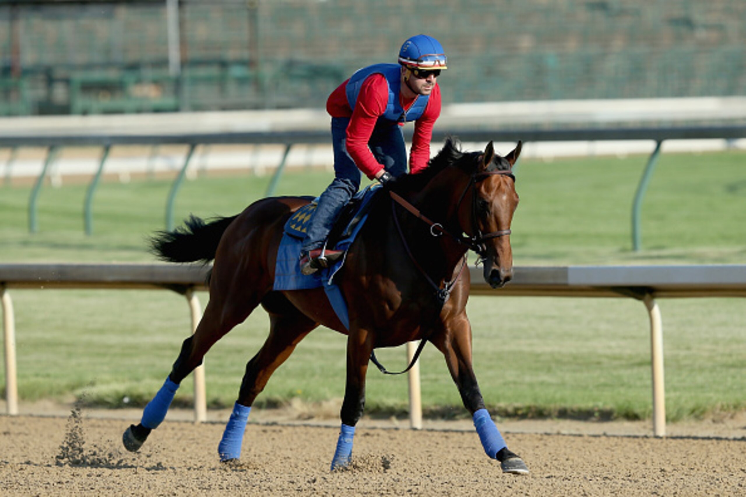 LOUISVILLE, KY - MAY 30:  American Pharoah trains in preparation of the Belmont Stakes at Churchill Downs on May 30, 2015 in Louisville, Kentucky.  (Photo by Andy Lyons/Getty Images)