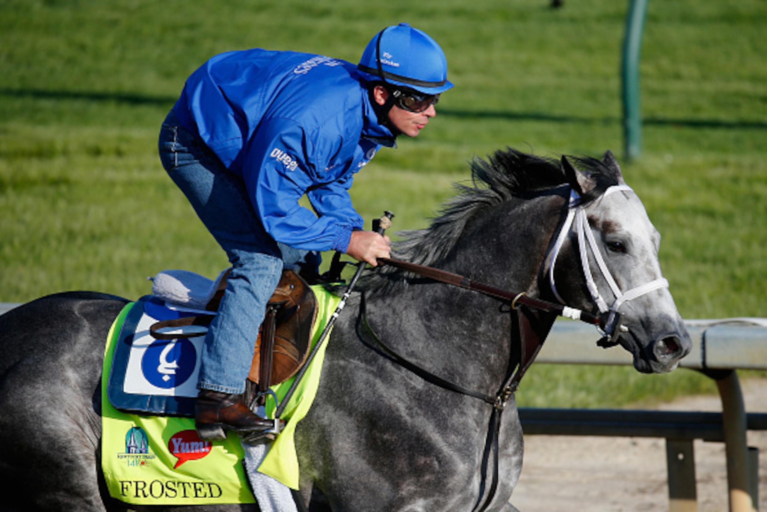LOUISVILLE, KY - APRIL 29: Frosted goes over the track during morning training for the Kentucky Derby at Churchill Downs on April 29, 2015 in Louisville, Kentucky.  (Photo by Rob Carr/Getty Images)