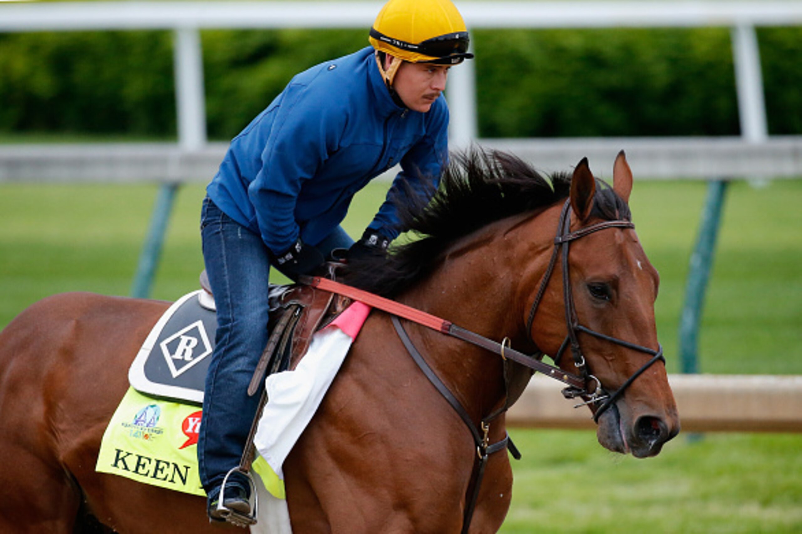 LOUISVILLE, KY - APRIL 30: Keen Ice goes over the track during morning training for the Kentucky Derby at Churchill Downs on April 30, 2015 in Louisville, Kentucky.  (Photo by Rob Carr/Getty Images)