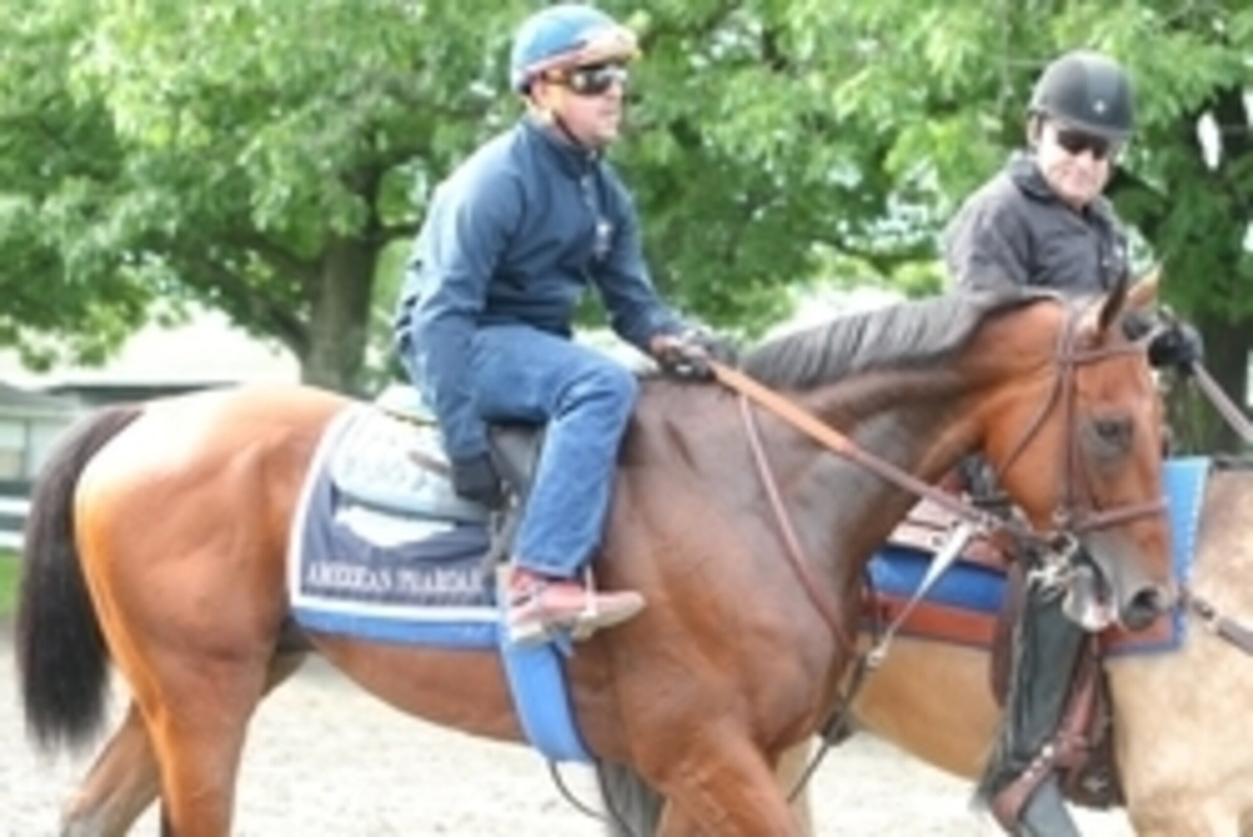 Jun 3, 2015; Elmont, NY, USA; American Pharoah leaves the track after training during workouts for the 2015 Belmont Stakes at Belmont Park. Mandatory Credit: Brad Penner-USA TODAY Sports