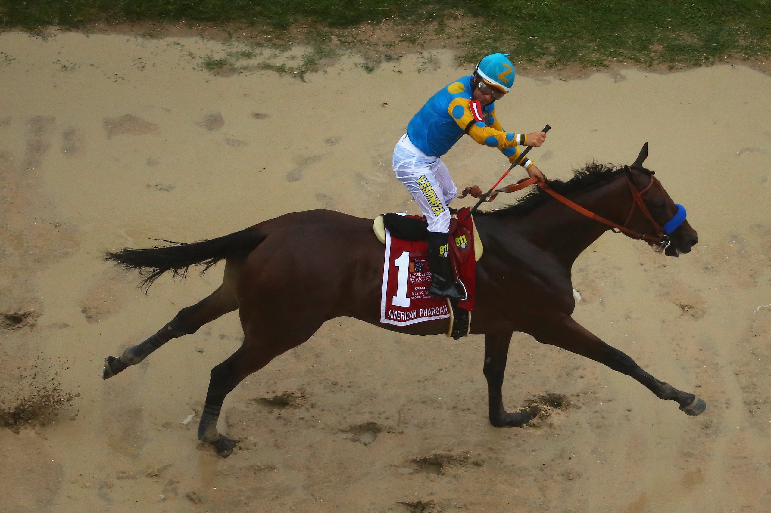 BALTIMORE, MD - MAY 16:  American Pharoah ridden by Victor Espinoza crosses the finish line to win the 140th running of the Preakness Stakes at Pimlico Race Course on May 16, 2015 in Baltimore, Maryland.  (Photo by Maddie Meyer/Getty Images)