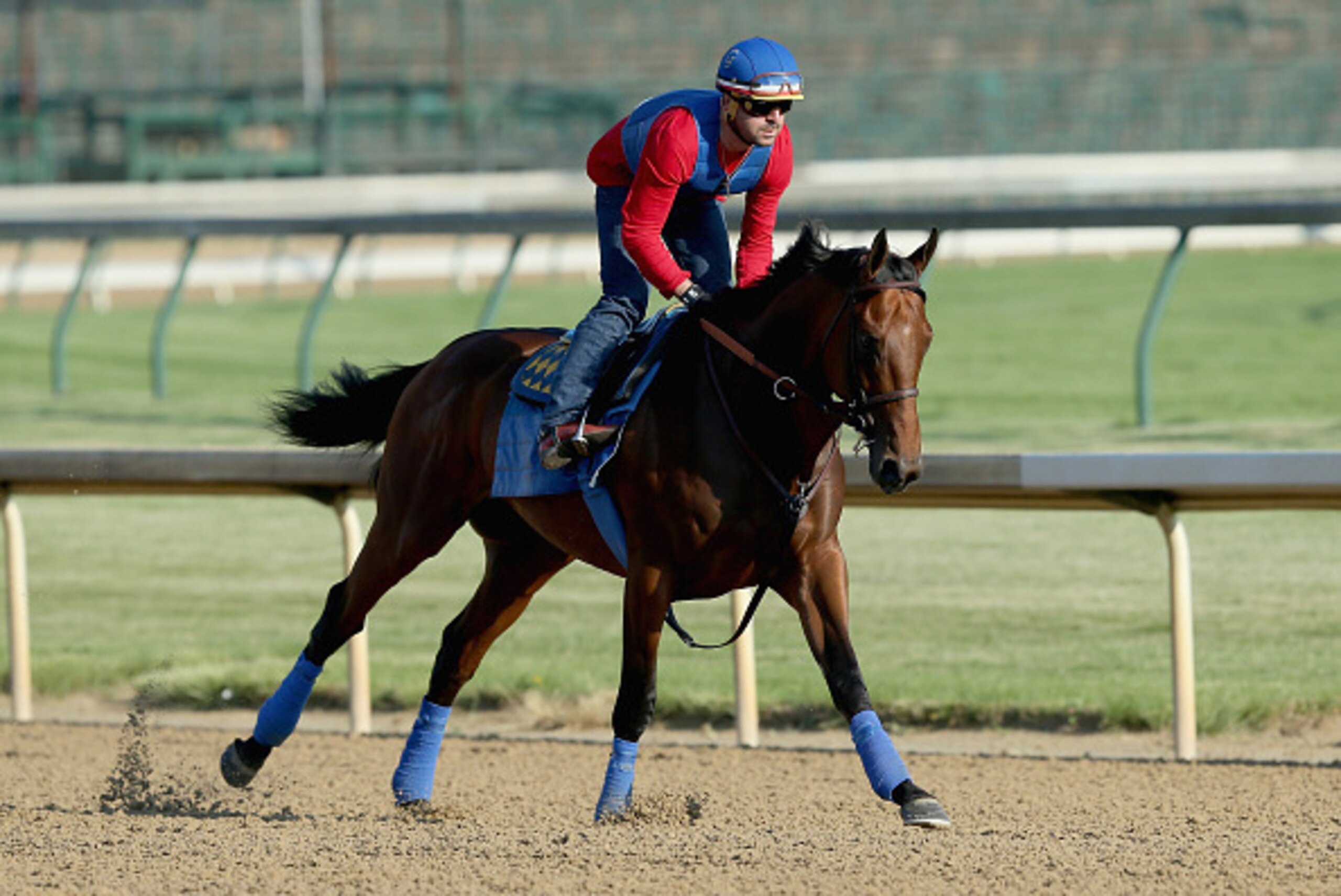 LOUISVILLE, KY - MAY 30:  American Pharoah trains in preparation of the Belmont Stakes at Churchill Downs on May 30, 2015 in Louisville, Kentucky.  (Photo by Andy Lyons/Getty Images)