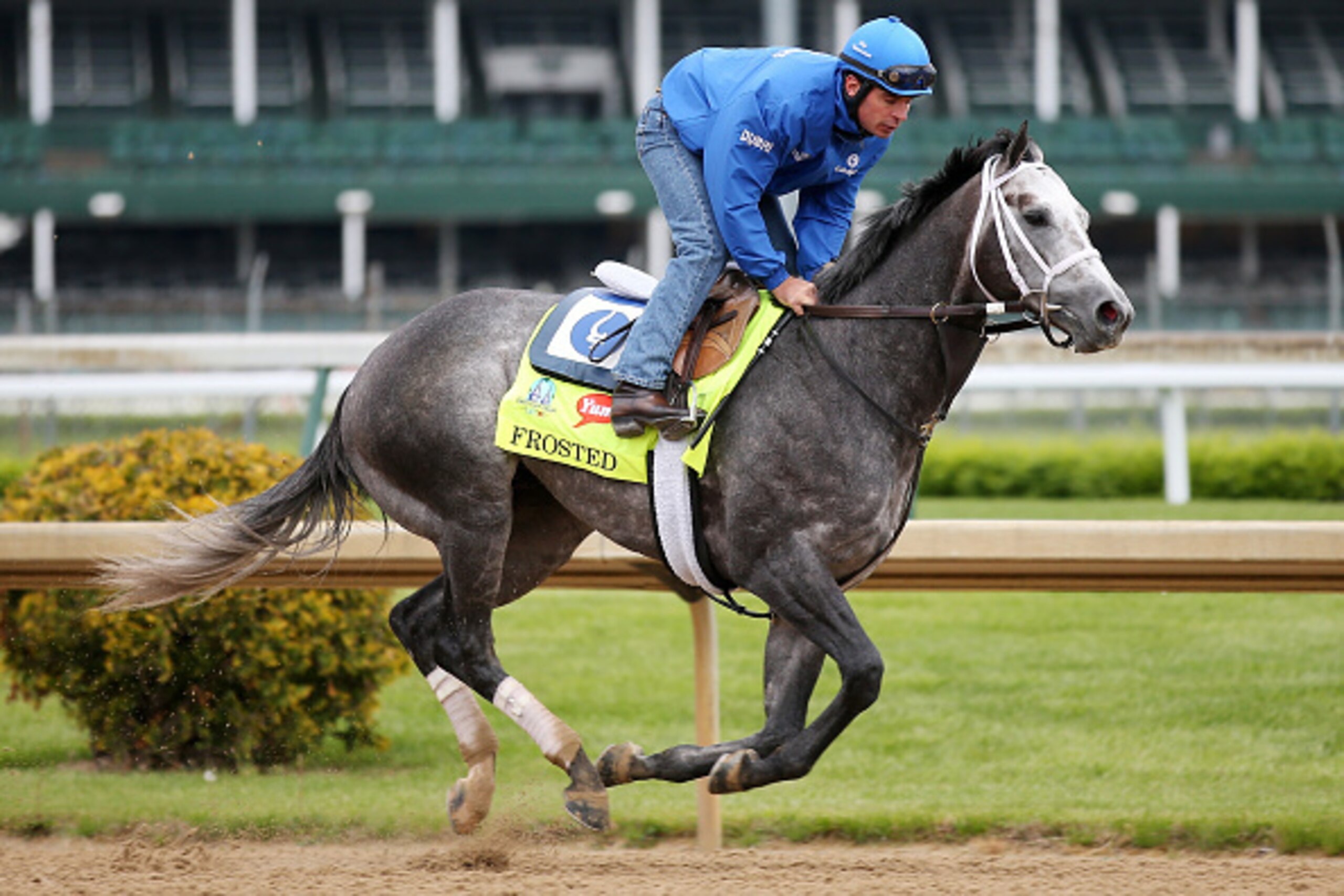 LOUISVILLE, KY - APRIL 30:  Frosted goes over the track during morning training for the Kentucky Derby at Churchill Downs on April 30, 2015 in Louisville, Kentucky.  (Photo by Chris Graythen/Getty Images)