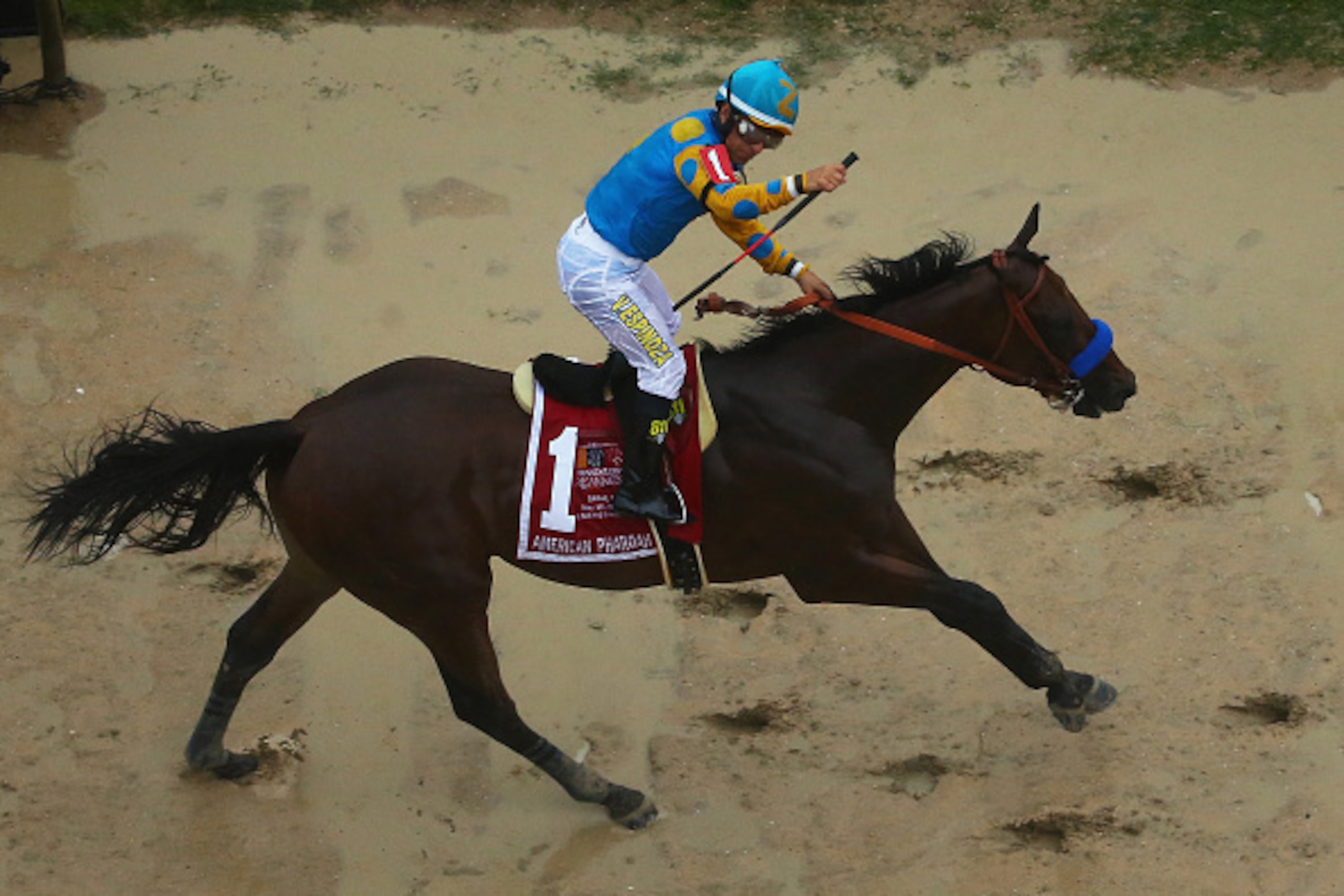 BALTIMORE, MD - MAY 16:  American Pharoah ridden by Victor Espinoza crosses the finish line to win the 140th running of the Preakness Stakes at Pimlico Race Course on May 16, 2015 in Baltimore, Maryland.  (Photo by Maddie Meyer/Getty Images)