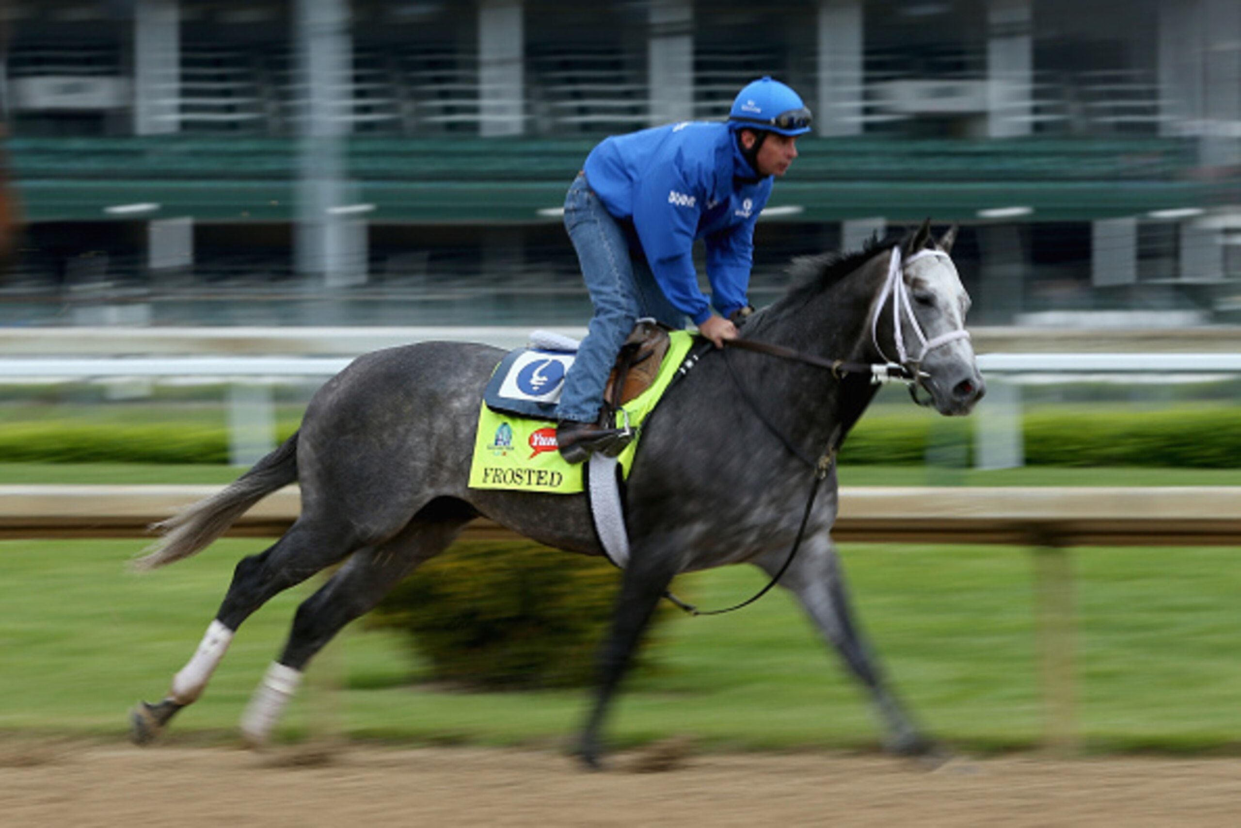 LOUISVILLE, KY - APRIL 30: Frosted runs on the track during the morning training for the Kentucky Derby at Churchill Downs on April 30, 2015 in Louisville, Kentucky.  (Photo by Andy Lyons/Getty Images)