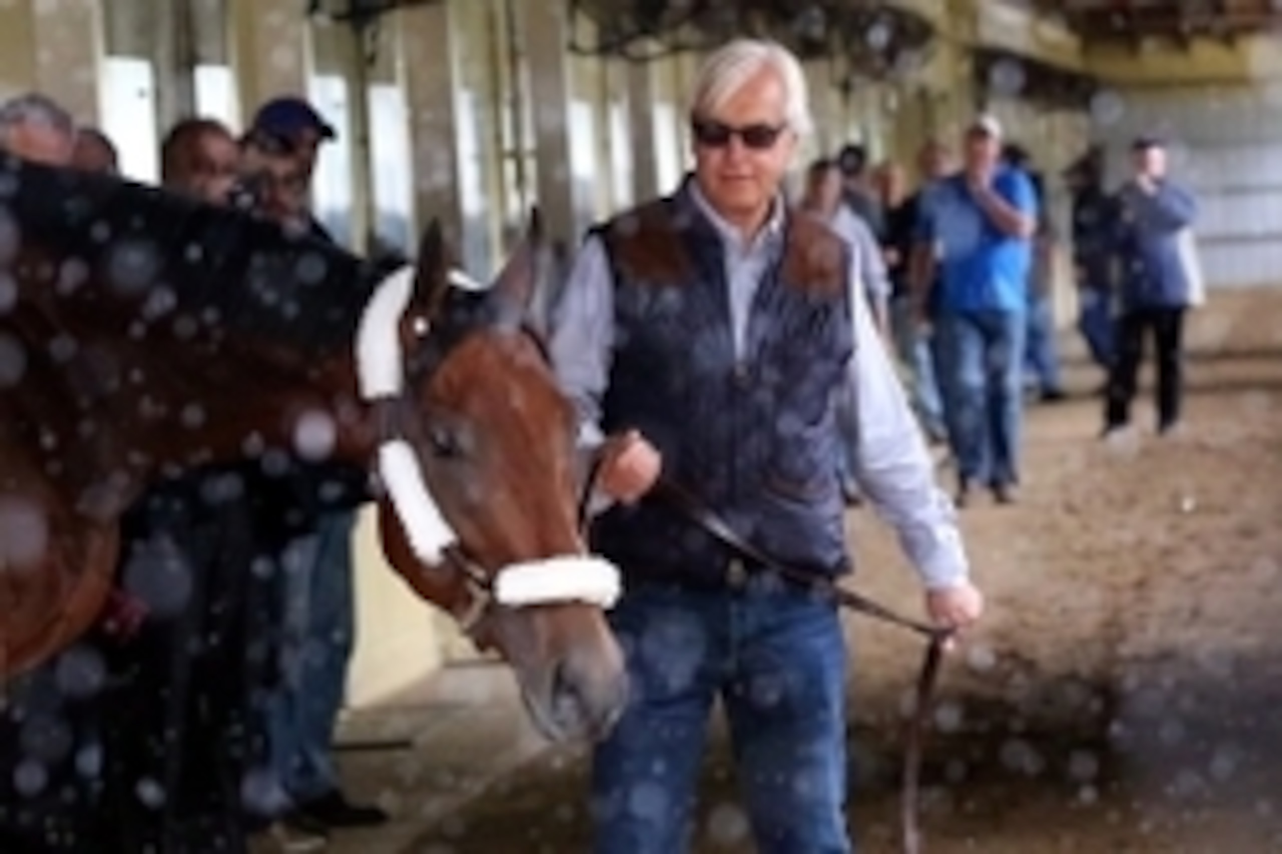 Jun 2, 2015; Elmont, NY, USA;  American Pharoah walks in the barn with trainer Bob Baffert at Belmont Park. Mandatory Credit: Anthony Gruppuso-USA TODAY Sports