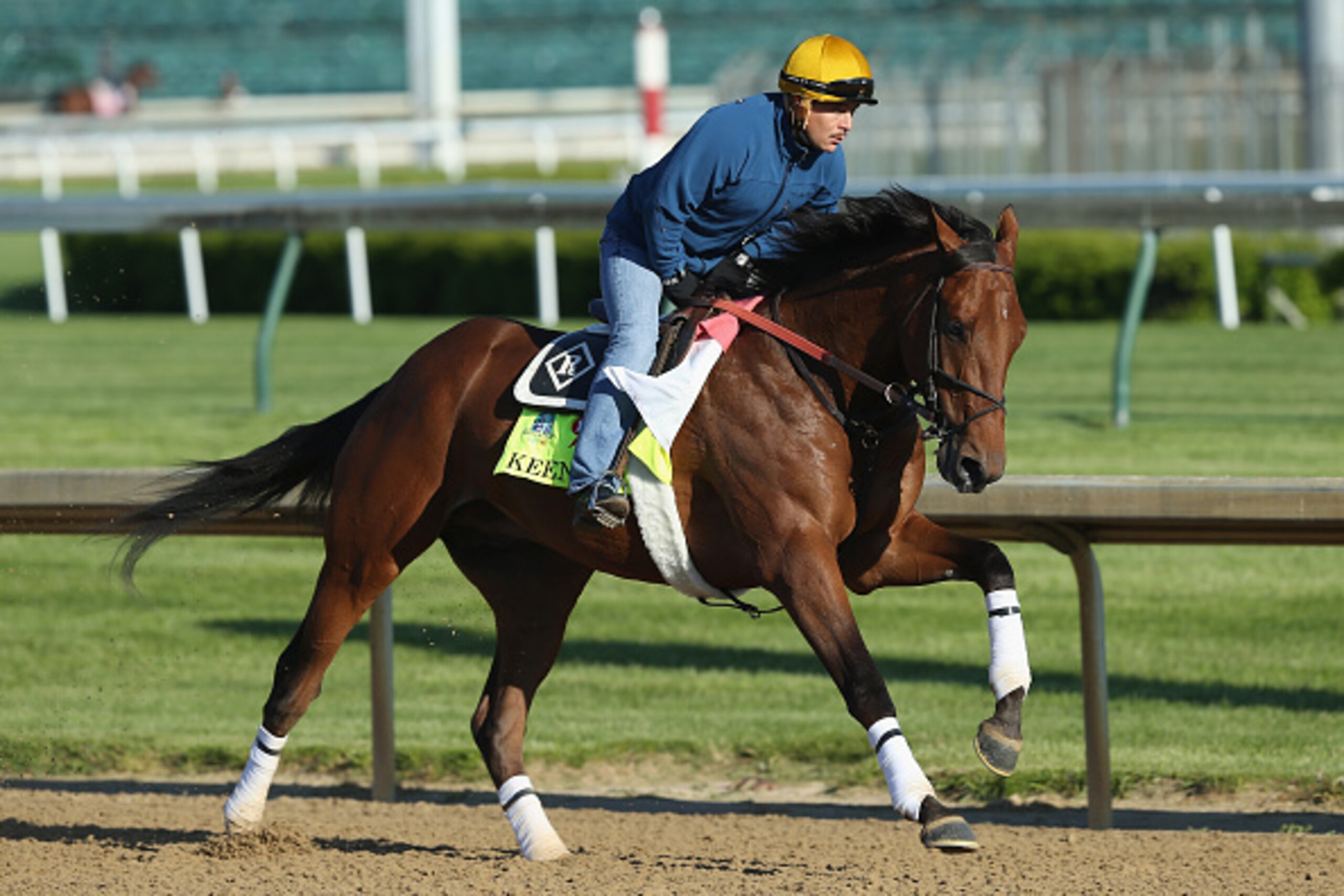 LOUISVILLE, KY - APRIL 28:  Keen Ice runs on the track during the morning training for the Kentucky Derby at Churchill Downs on April 28, 2015 in Louisville, Kentucky.  (Photo by Andy Lyons/Getty Images)
