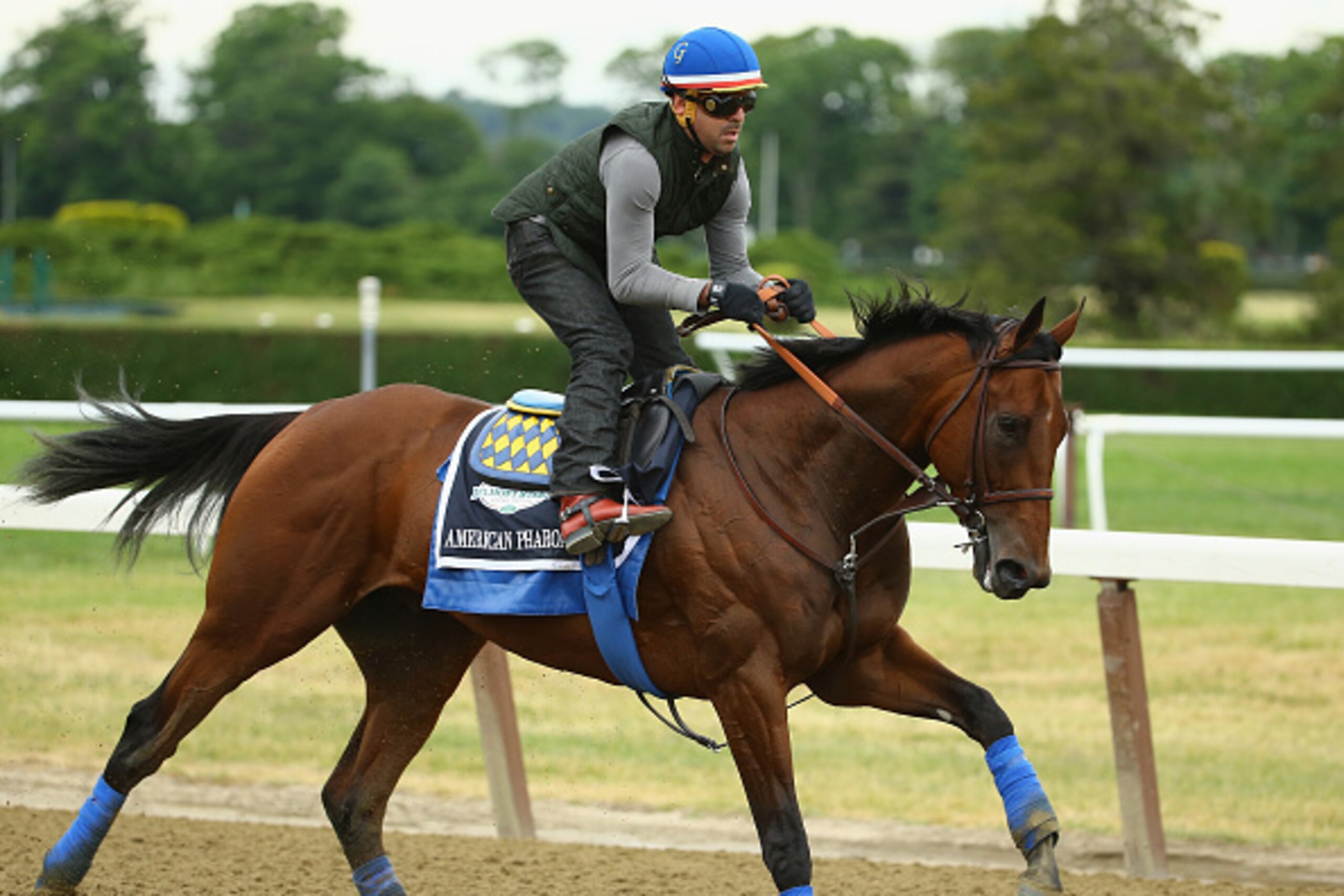 ELMONT, NY - JUNE 04: Jorge Alvarez up, rides American Pharoah during training at Belmont Park on June 4, 2015 in Elmont, New York. (Photo by Al Bello/Getty Images) ELMONT, NY - JUNE 04: Jorge Alvarez up, rides American Pharoah during training at Belmont Park on June 4, 2015 in Elmont, New York. (Photo by Al Bello/Getty Images)