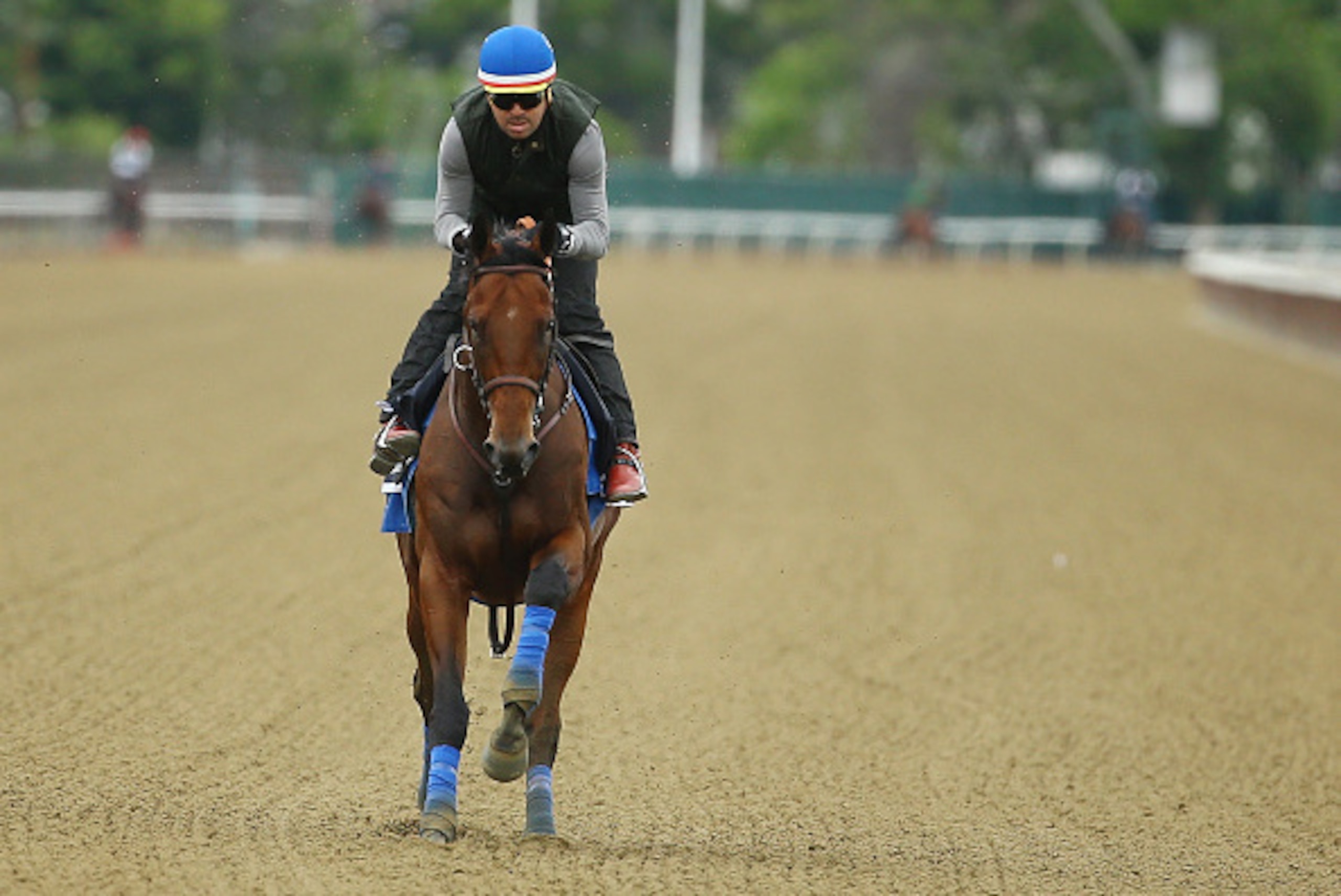 ELMONT, NY - JUNE 04:  Jorge Alvarez up, rides American Pharoah during training at Belmont Park on June 4, 2015 in Elmont, New York.  (Photo by Al Bello/Getty Images)