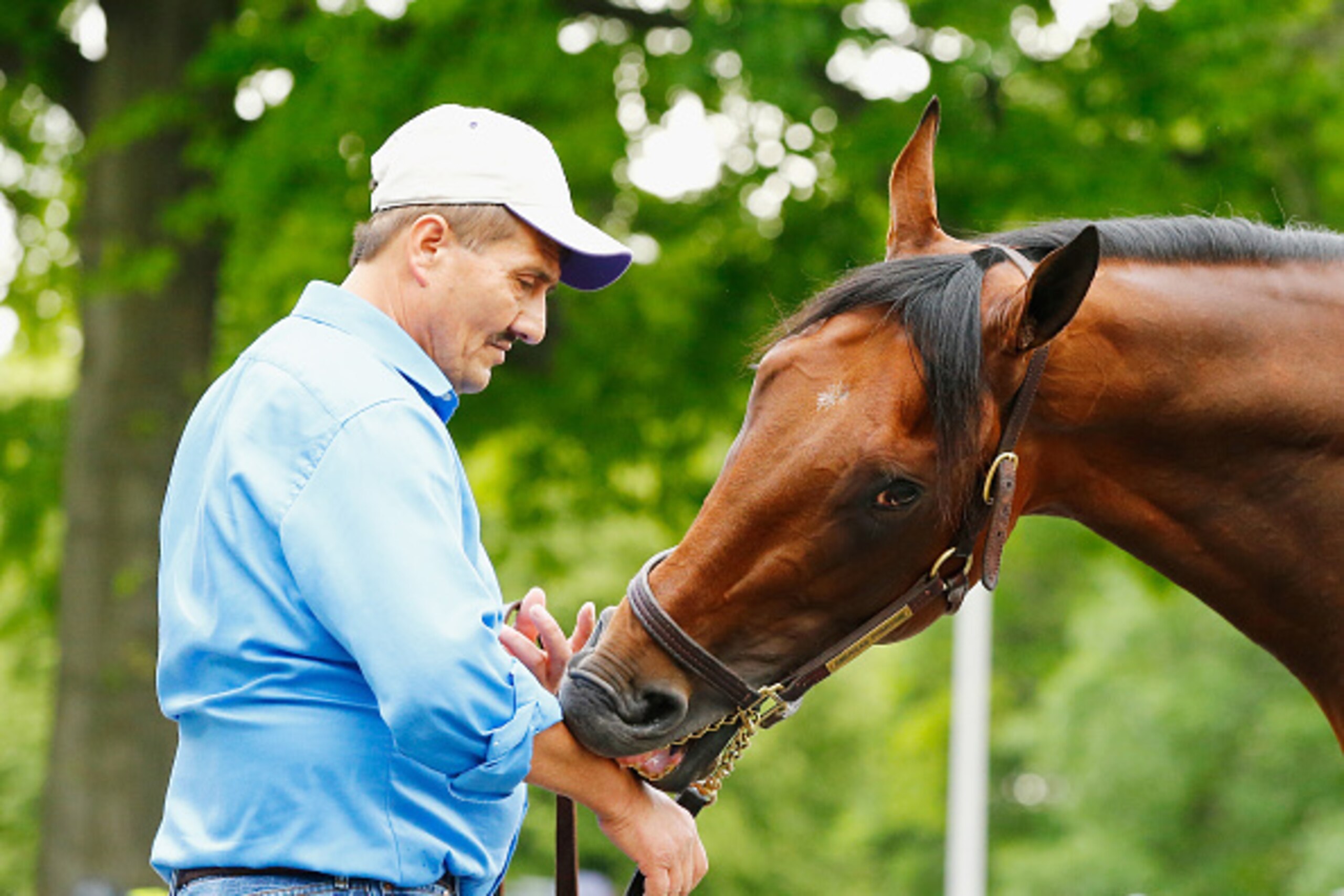 ELMONT, NY - JUNE 04:  Juan Ramirez handles American Pharoah during his bath after training at Belmont Park on June 4, 2015 in Elmont, New York.  (Photo by Al Bello/Getty Images)