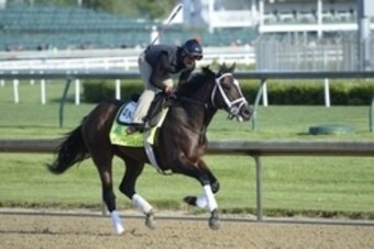 Apr 29, 2015; Louisville, KY, USA; An exercise rider works out Kentucky Derby hopeful Materiality trained by Todd Pletcher at Churchill Downs. Mandatory Credit: Jamie Rhodes-USA TODAY Sports