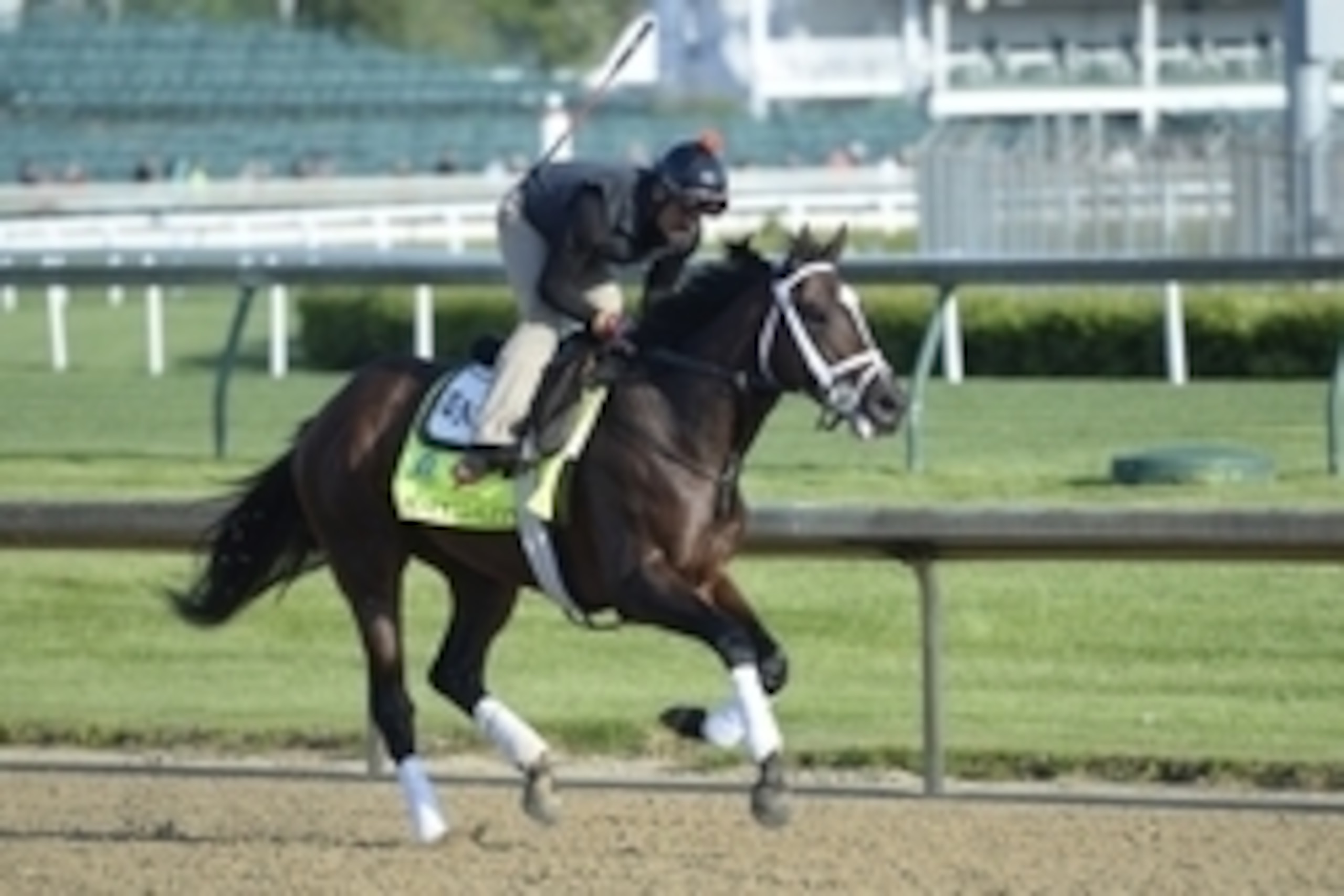 Apr 29, 2015; Louisville, KY, USA; An exercise rider works out Kentucky Derby hopeful Materiality trained by Todd Pletcher at Churchill Downs. Mandatory Credit: Jamie Rhodes-USA TODAY Sports