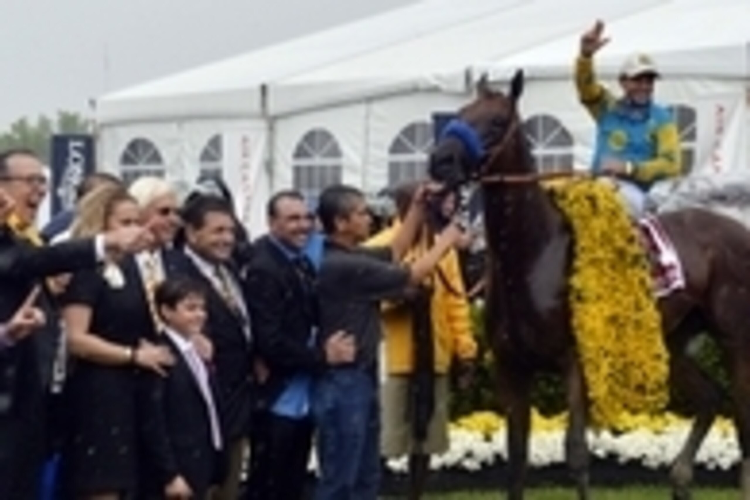 May 16, 2015; Baltimore, MD, USA; Victor Espinoza aboard American Pharoah celebrates winning the 140th Preakness Stakes at Pimlico Race Course. Mandatory Credit: Tommy Gilligan-USA TODAY Sports