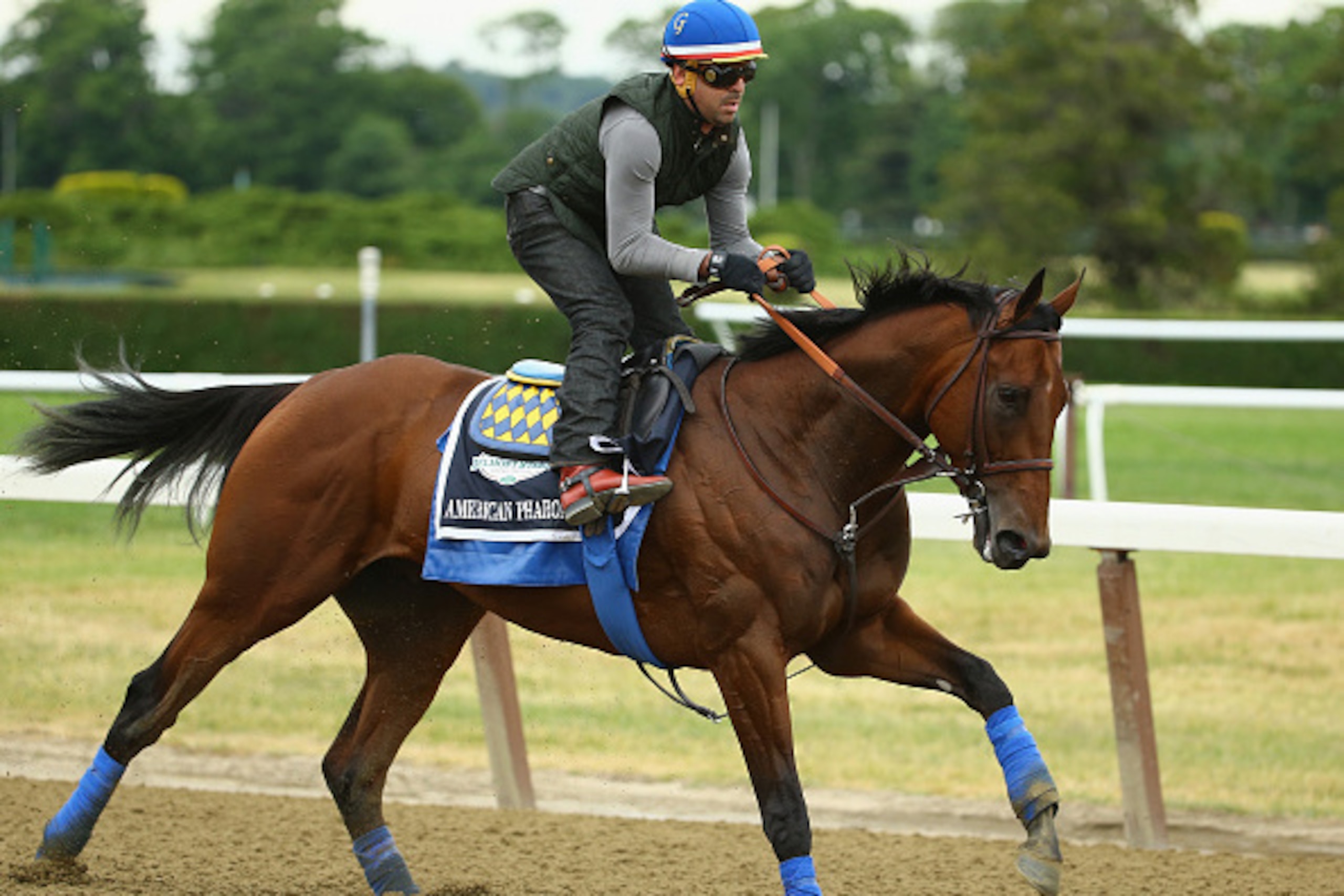 ELMONT, NY - JUNE 04:  Jorge Alvarez up, rides American Pharoah during training at Belmont Park on June 4, 2015 in Elmont, New York.  (Photo by Al Bello/Getty Images)