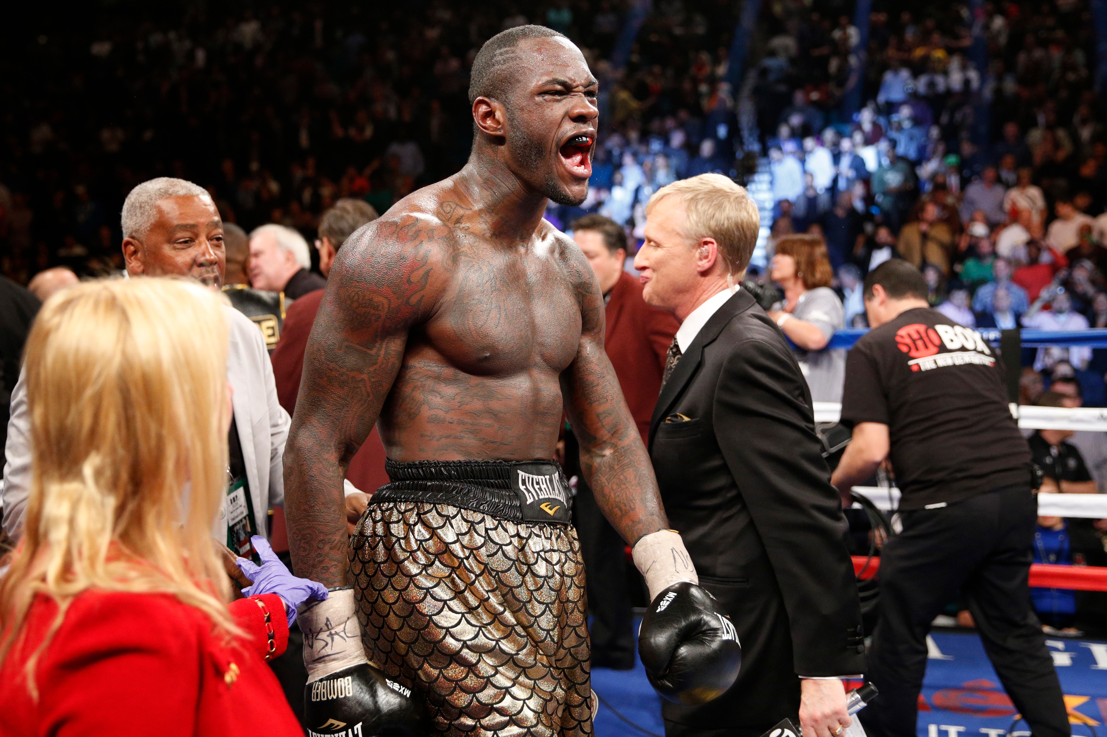 Deontay Wilder celebrates his WBC heavyweight title victory over Bermane Stiverne.