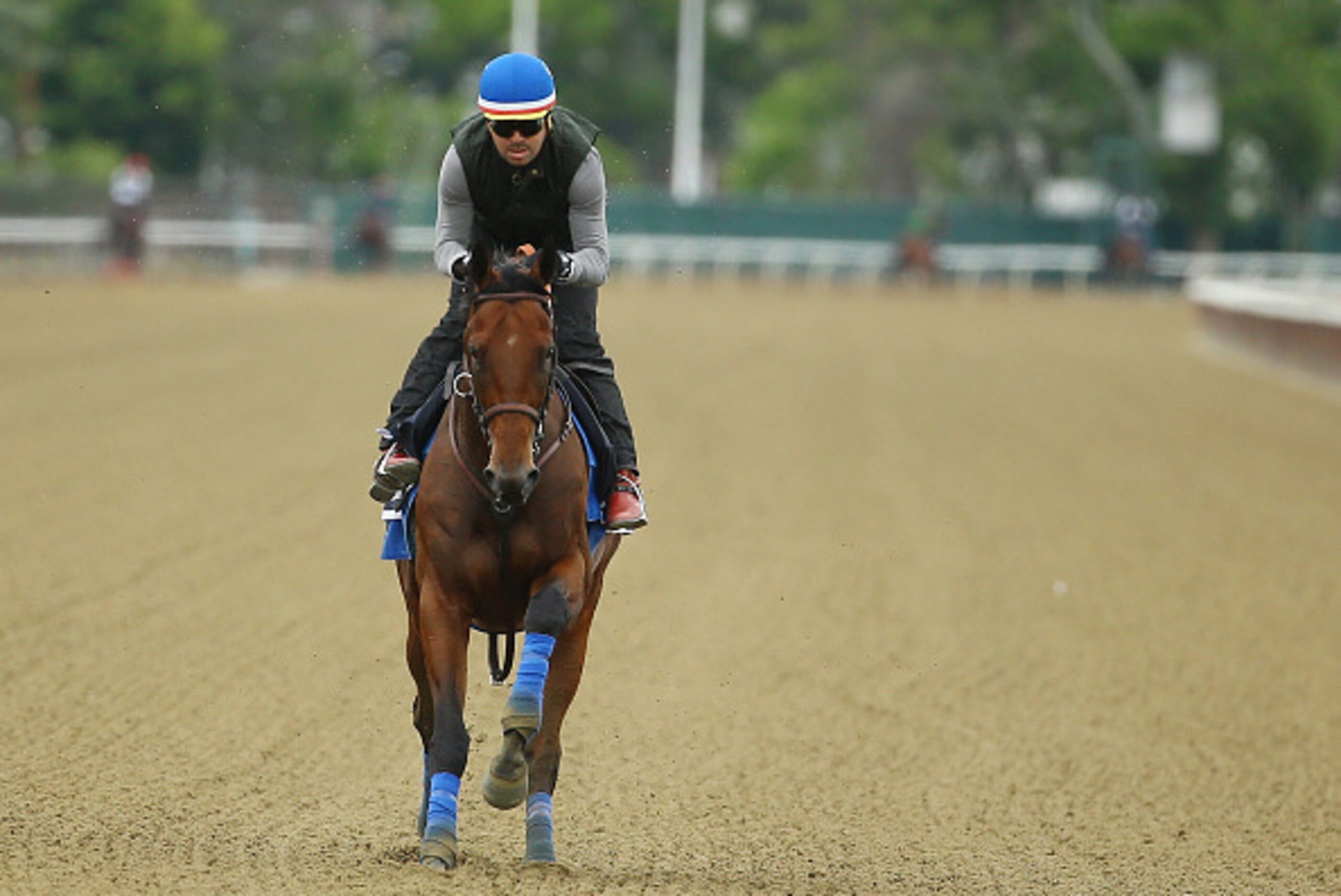 ELMONT, NY - JUNE 04:  Jorge Alvarez up, rides American Pharoah during training at Belmont Park on June 4, 2015 in Elmont, New York.  (Photo by Al Bello/Getty Images)