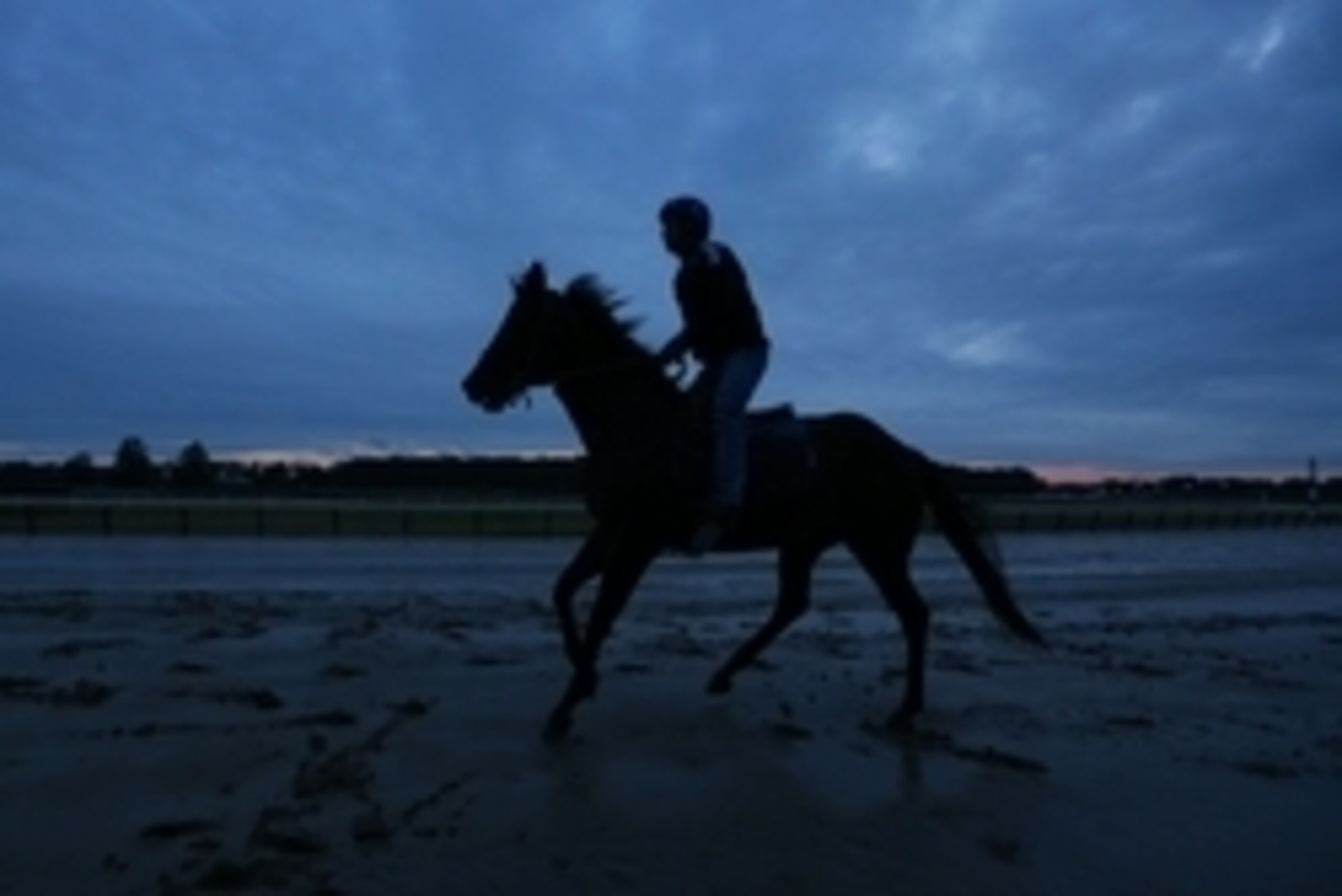 Jun 3, 2015; Elmont, NY, USA; A horse trains at dawn during workouts for the 2015 Belmont Stakes at Belmont Park. Mandatory Credit: Brad Penner-USA TODAY Sports
