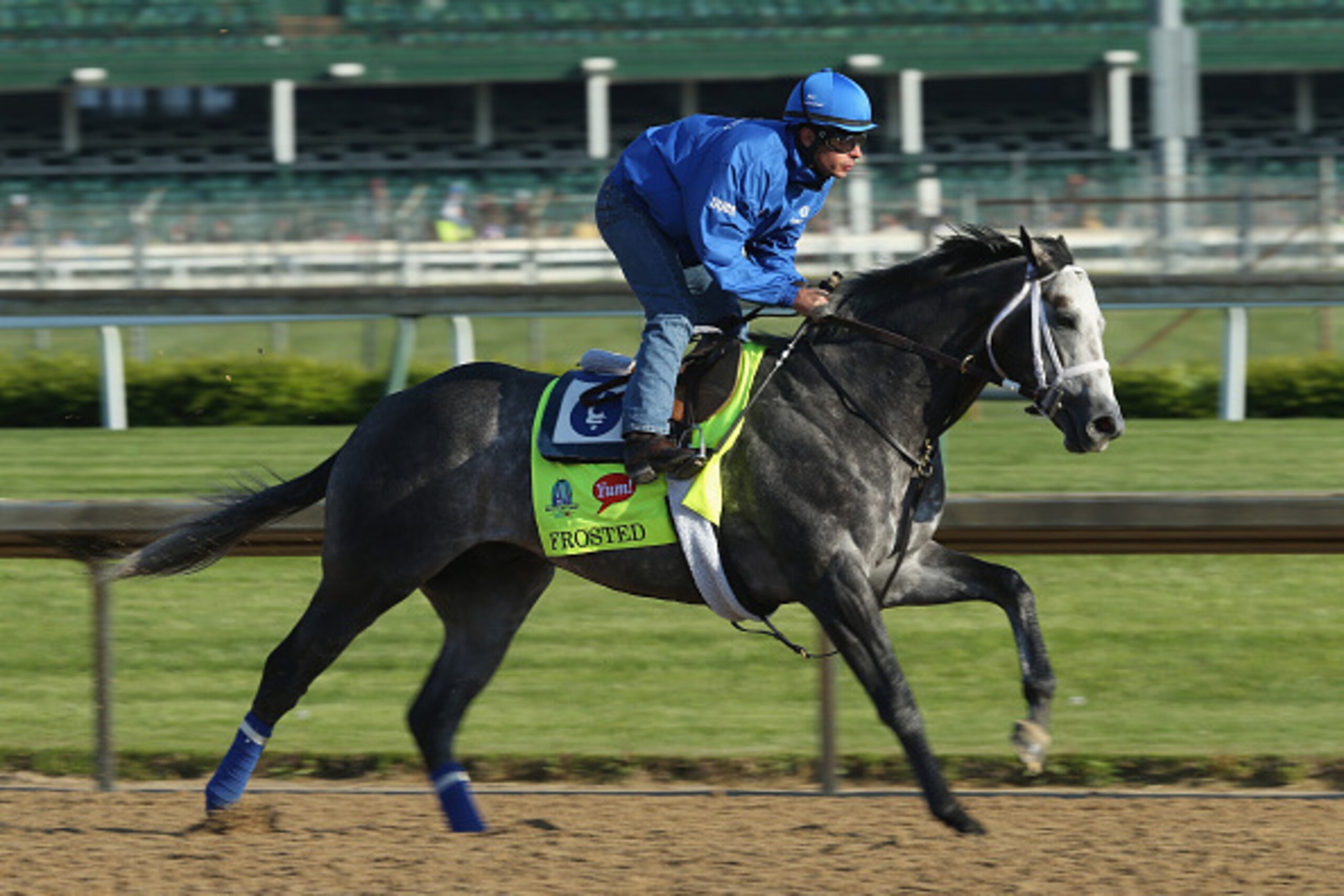 LOUISVILLE, KY - APRIL 29:  Frosted runs on the track during the morning training for the kentucky Derby at Churchill Downs on April 29, 2015 in Louisville, Kentucky.  (Photo by Andy Lyons/Getty Images)