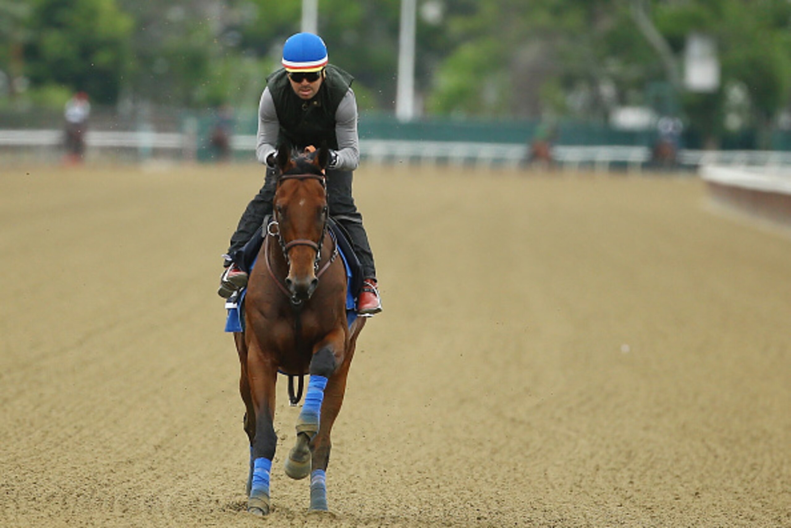 ELMONT, NY - JUNE 04:  Jorge Alvarez up, rides American Pharoah during training at Belmont Park on June 4, 2015 in Elmont, New York.  (Photo by Al Bello/Getty Images)