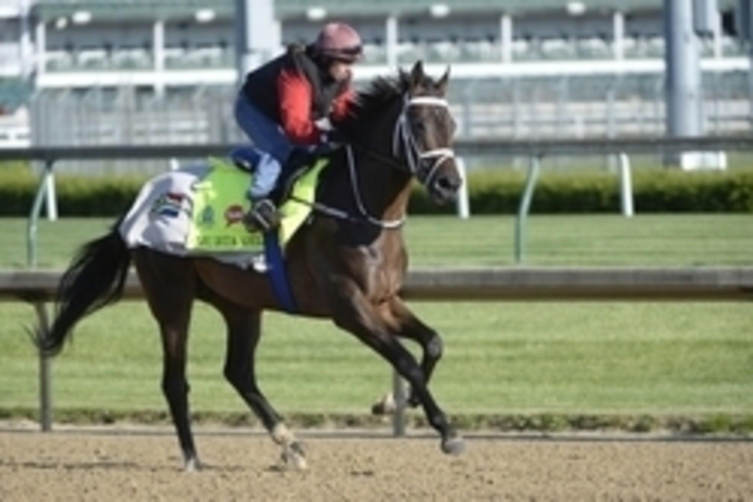 Apr 28, 2015; Louisville, KY, USA;  Exercise rider Lisa Moncrieff works out Kentucky Derby hopeful Mubtaahij at Churchill Downs. Mandatory Credit: Jamie Rhodes-USA TODAY Sports