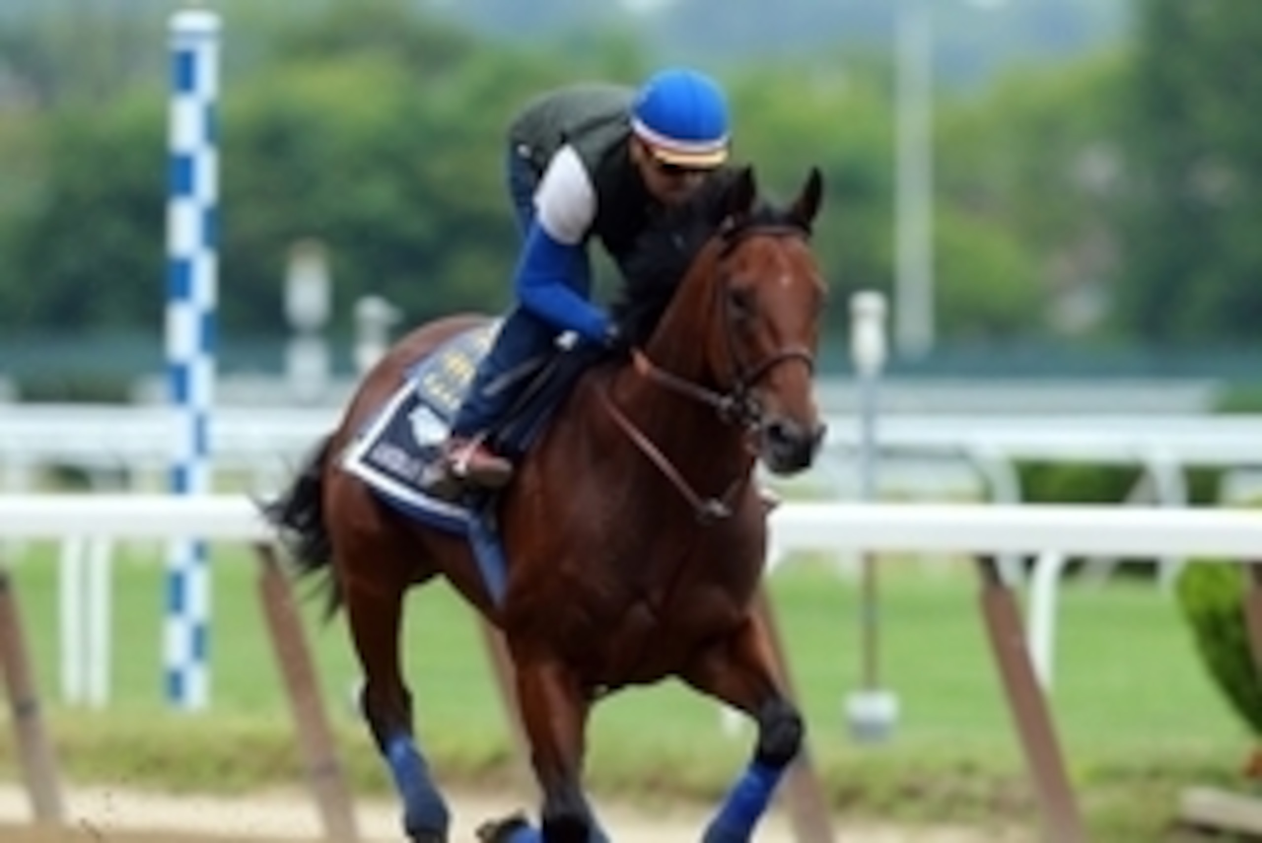 Jun 5, 2015; Elmont, NY, USA; American Pharoah trains the day before the 2015 Belmont Stakes at Belmont Park. Mandatory Credit: Brad Penner-USA TODAY Sports