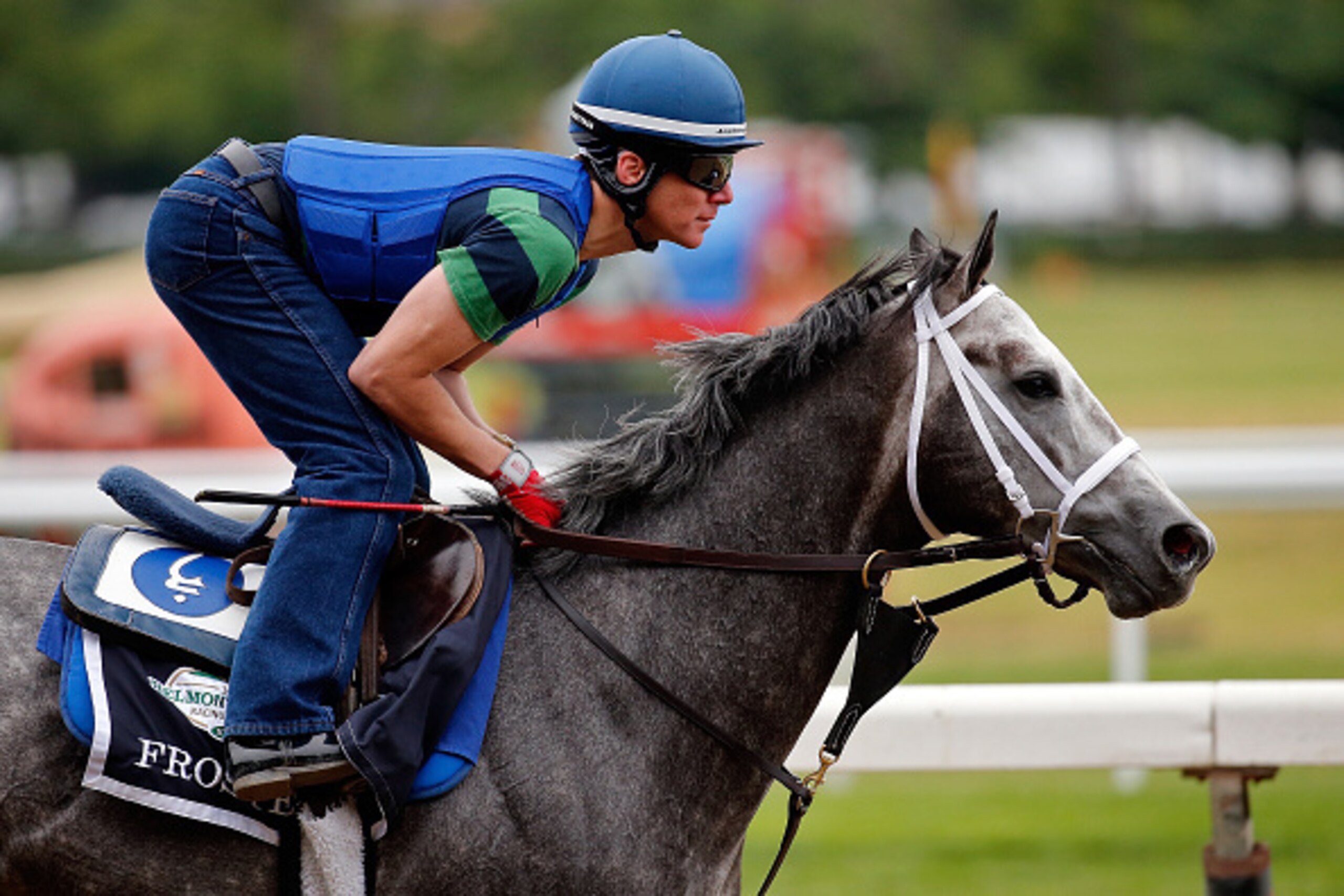 ELMONT, NY - JUNE 05:  Frosted during workouts prior to the 147th Belmont Stakes at Belmont Park on June 5, 2015 in Elmont, New York.  (Photo by Rob Carr/Getty Images)