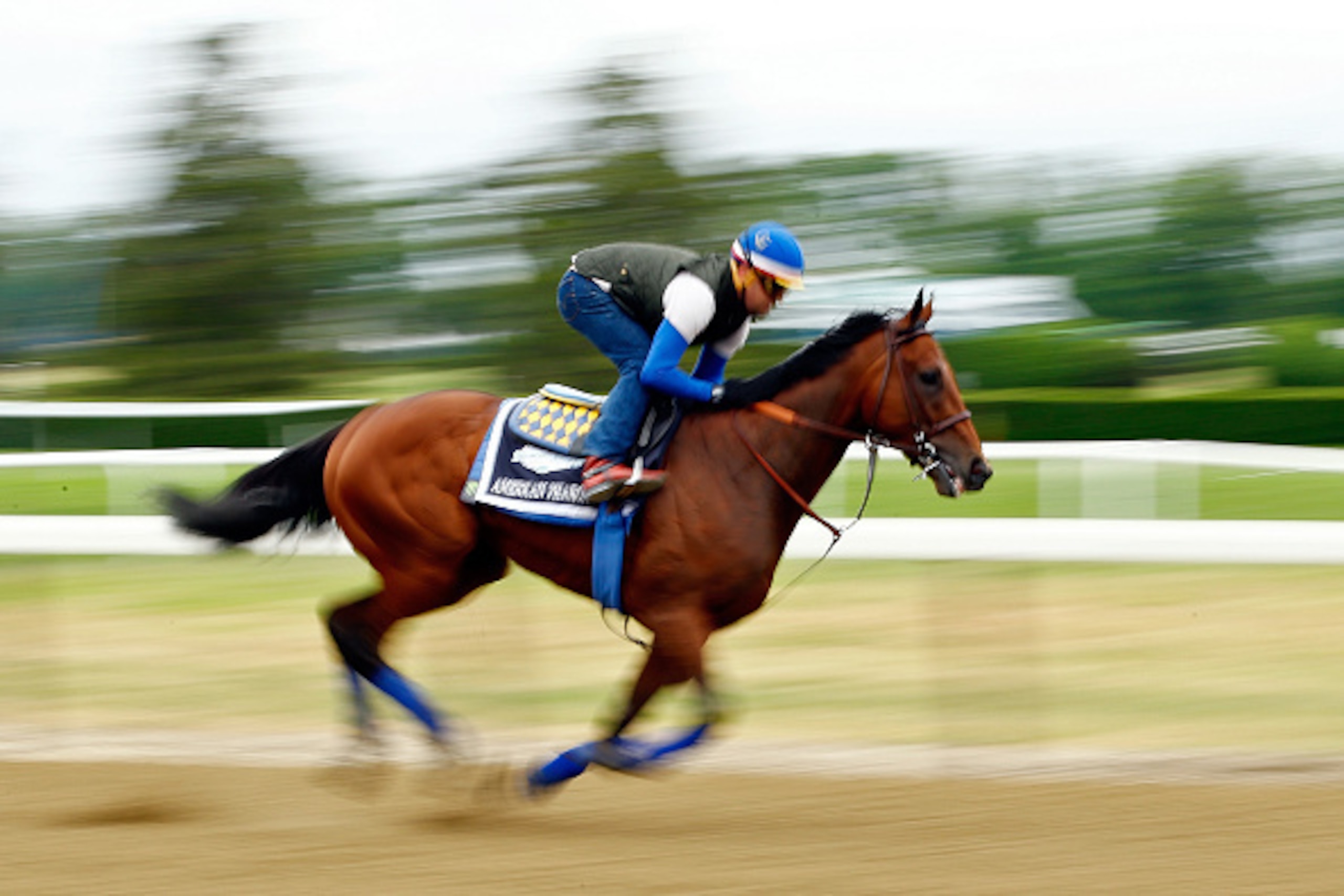 ELMONT, NY - JUNE 05:  Jorge Alvarez up, rides American Pharoah during workouts prior to the 147th Belmont Stakes at Belmont Park on June 5, 2015 in Elmont, New York.  (Photo by Al Bello/Getty Images)