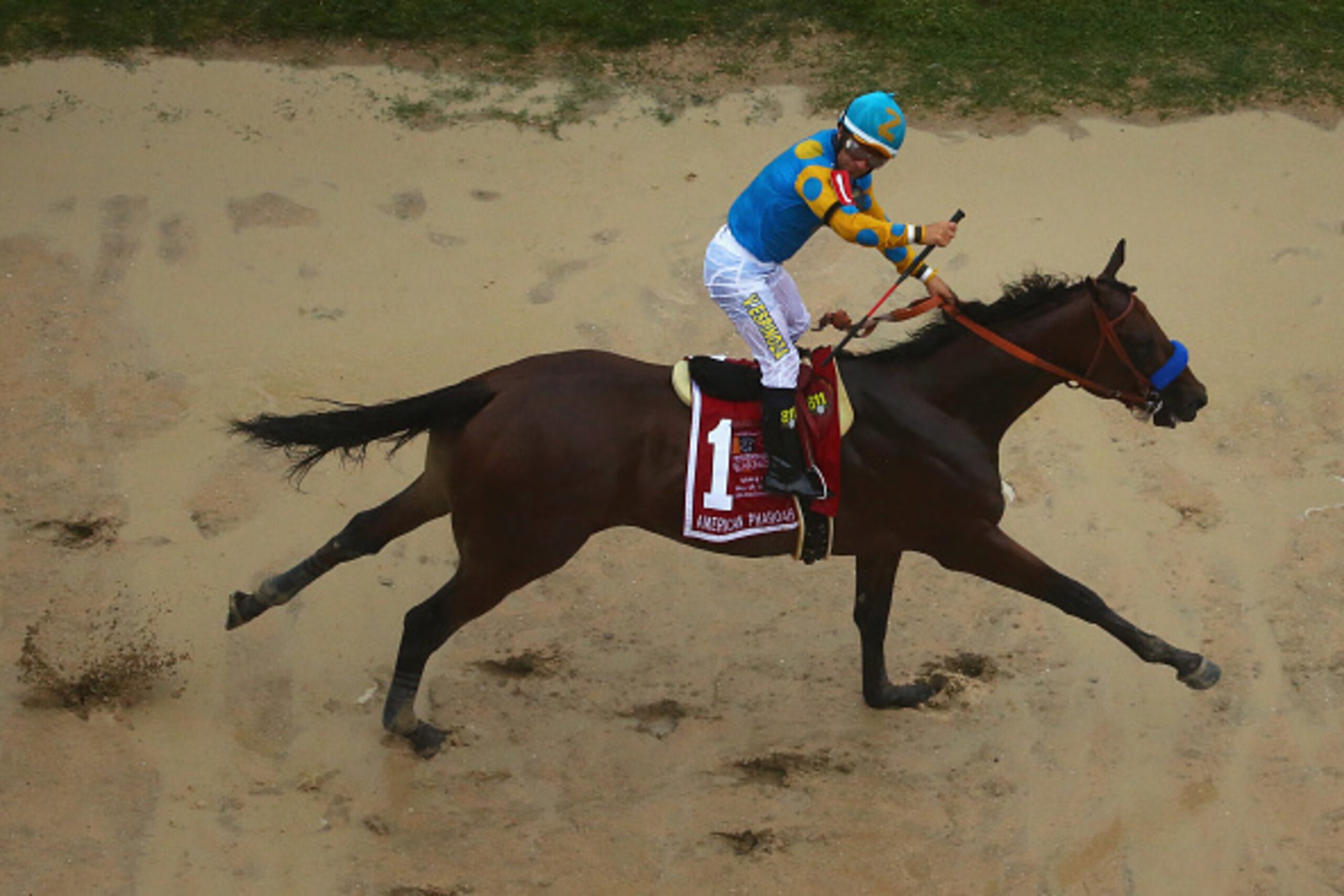 BALTIMORE, MD - MAY 16:  American Pharoah ridden by Victor Espinoza crosses the finish line to win the 140th running of the Preakness Stakes at Pimlico Race Course on May 16, 2015 in Baltimore, Maryland.  (Photo by Maddie Meyer/Getty Images)