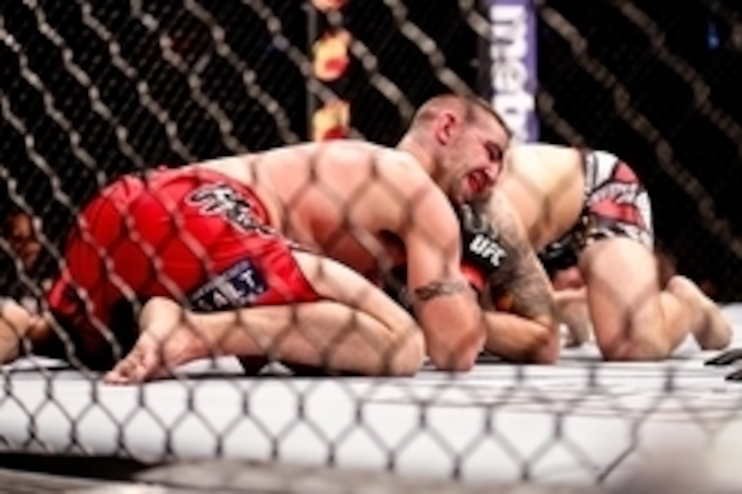 Jun 6, 2015; New Orleans, LA, USA; Joe Proctor choke holds Justin Edwards during UFC Fight Night at the Smoothie King Center. Mandatory Credit: Derick E. Hingle-USA TODAY Sports