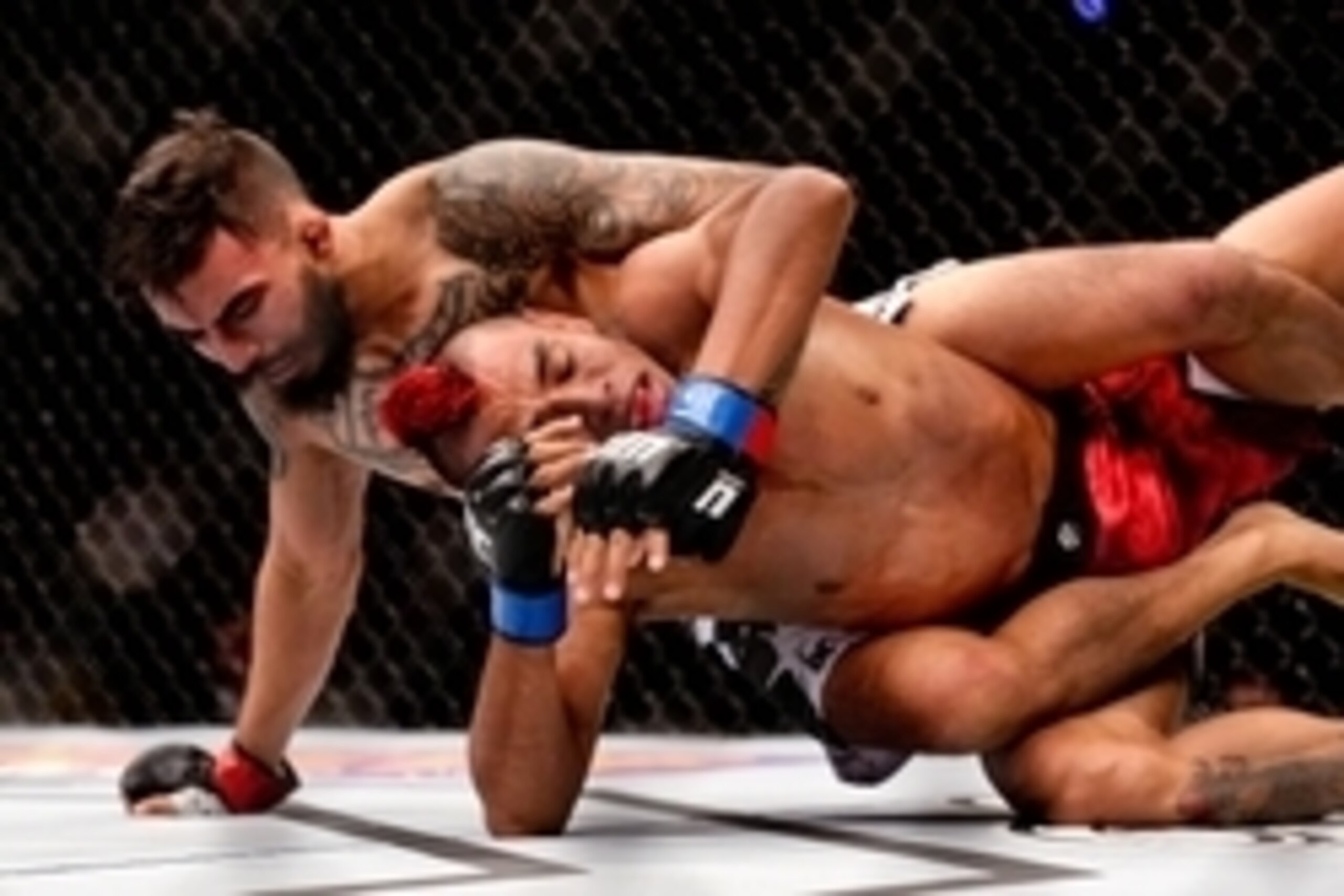 Jun 6, 2015; New Orleans, LA, USA; Jose Quinonez (red gloves) grapples with Leonardo Morales (blue gloves) during UFC Fight Night at the Smoothie King Center. Mandatory Credit: Derick E. Hingle-USA TODAY Sports