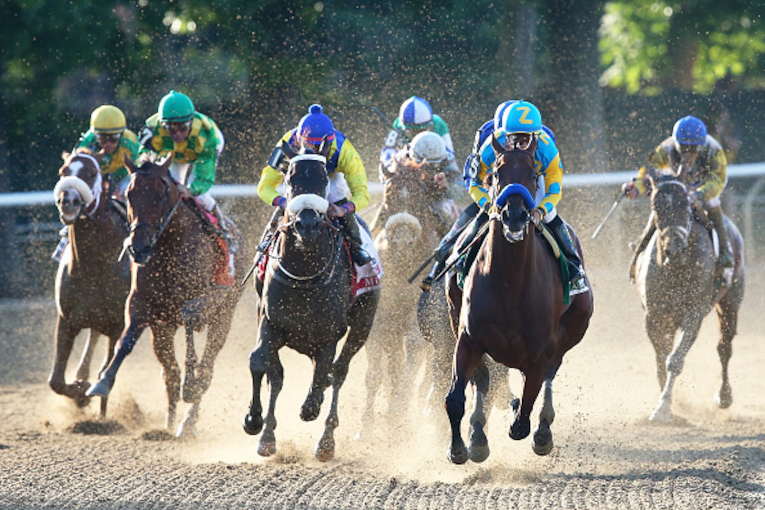 ELMONT, NY - JUNE 06:  American Pharoah #5, ridden by Victor Espinoza, leads the field out of the fourth turn during the 147th running of the Belmont Stakes at Belmont Park on June 6, 2015 in Elmont, New York.  (Photo by Elsa/Getty Images)