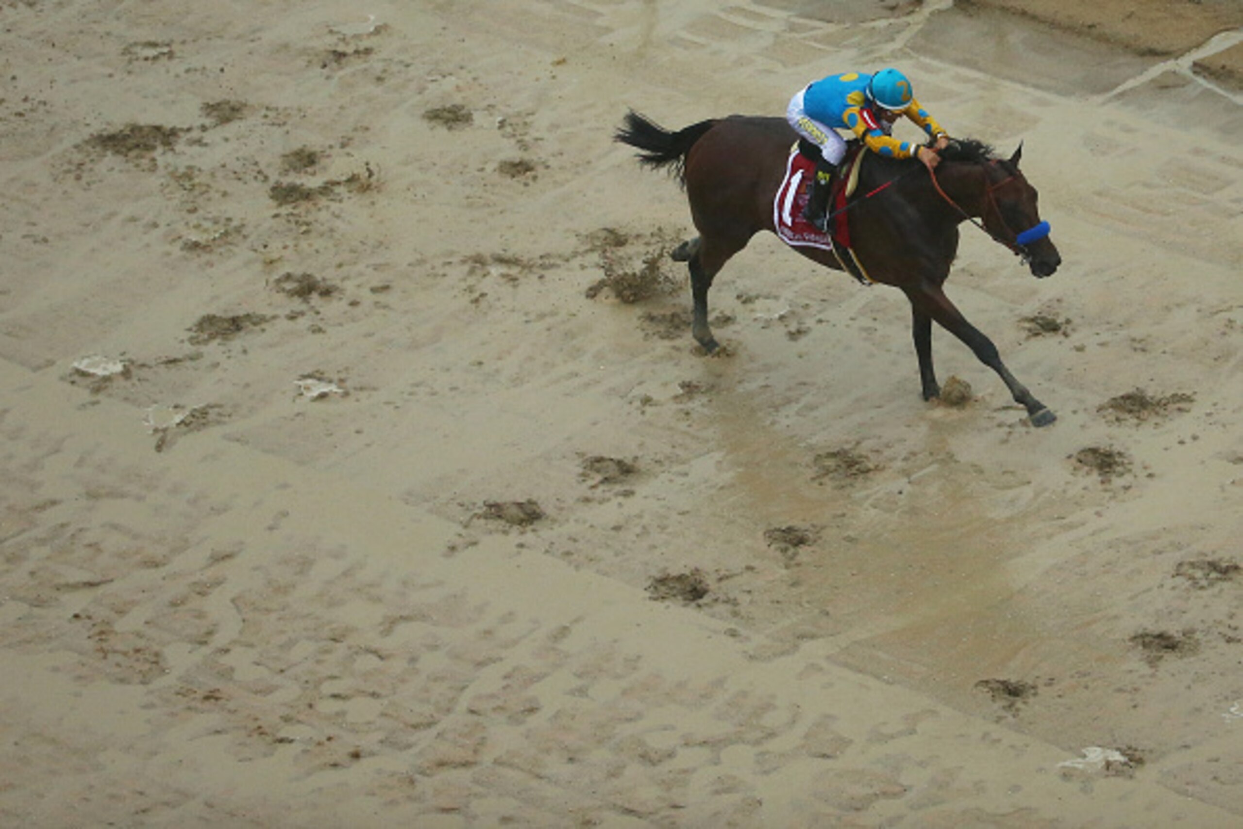 BALTIMORE, MD - MAY 16: American Pharoah ridden by Victor Espinoza approaches the finish line to win the 140th running of the Preakness Stakes at Pimlico Race Course on May 16, 2015 in Baltimore, Maryland. (Photo by Maddie Meyer/Getty Images) BALTIMORE, MD - MAY 16: American Pharoah ridden by Victor Espinoza approaches the finish line to win the 140th running of the Preakness Stakes at Pimlico Race Course on May 16, 2015 in Baltimore, Maryland. (Photo by Maddie Meyer/Getty Images)