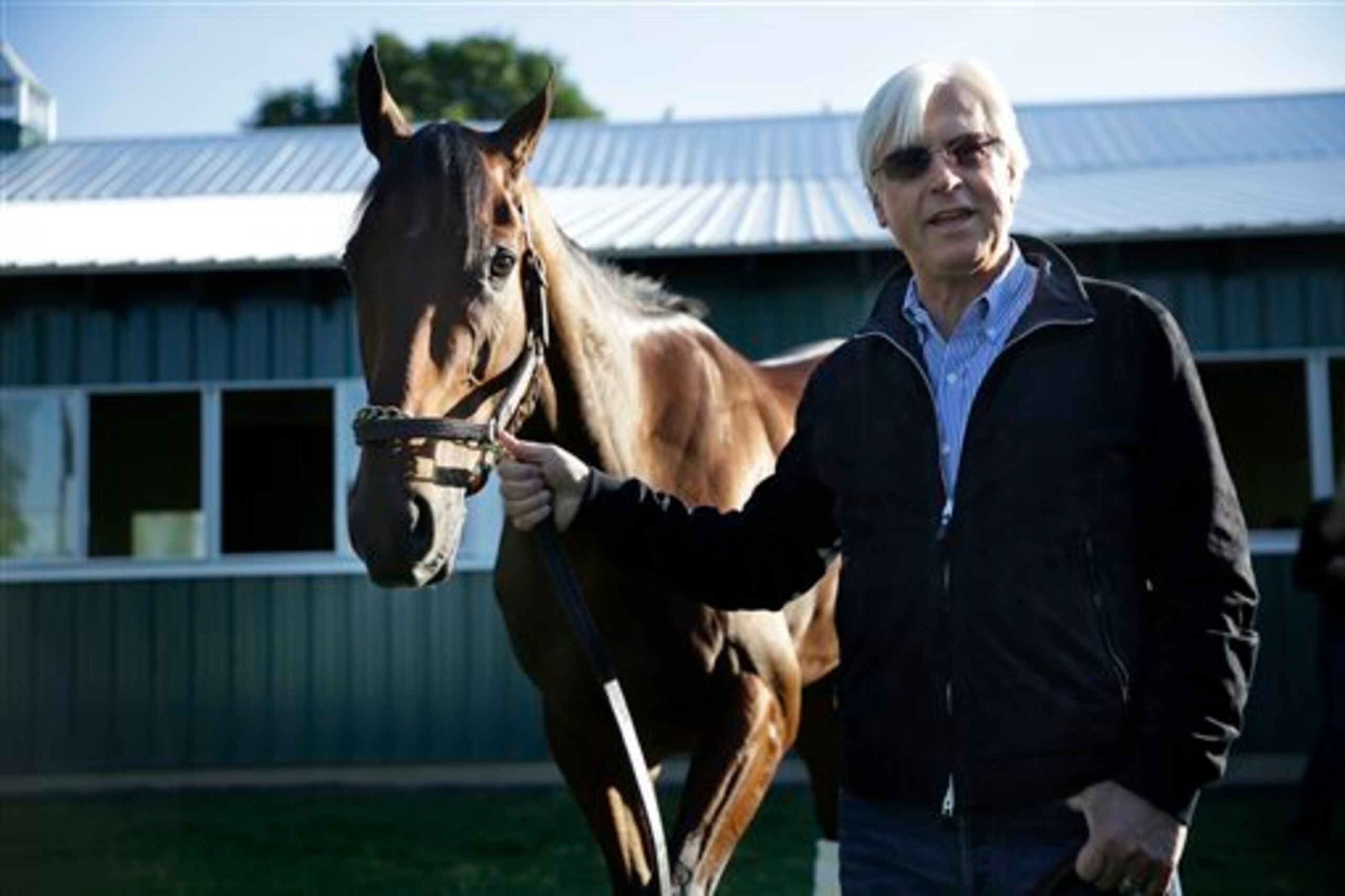 Trainer Bob Baffert looked more tired than the champ a day after the Belmont Stakes.