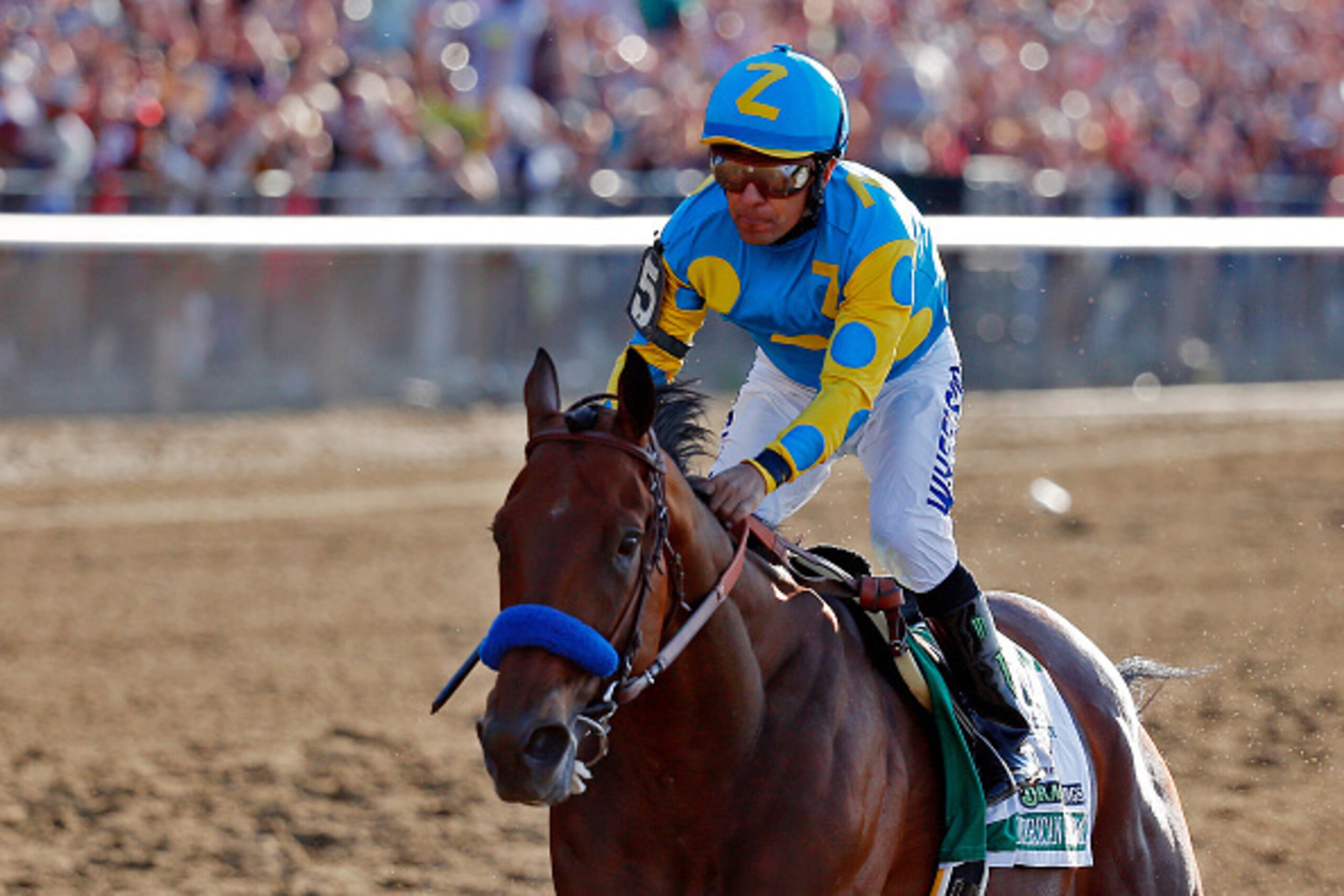 ELMONT, NY - JUNE 06:  American Pharoah #5, ridden by Victor Espinoza, comes down the final stretch ahead of the field on his way to winning the 147th running of the Belmont Stakes at Belmont Park on June 6, 2015 in Elmont, New York.  (Photo by Rob Carr/G