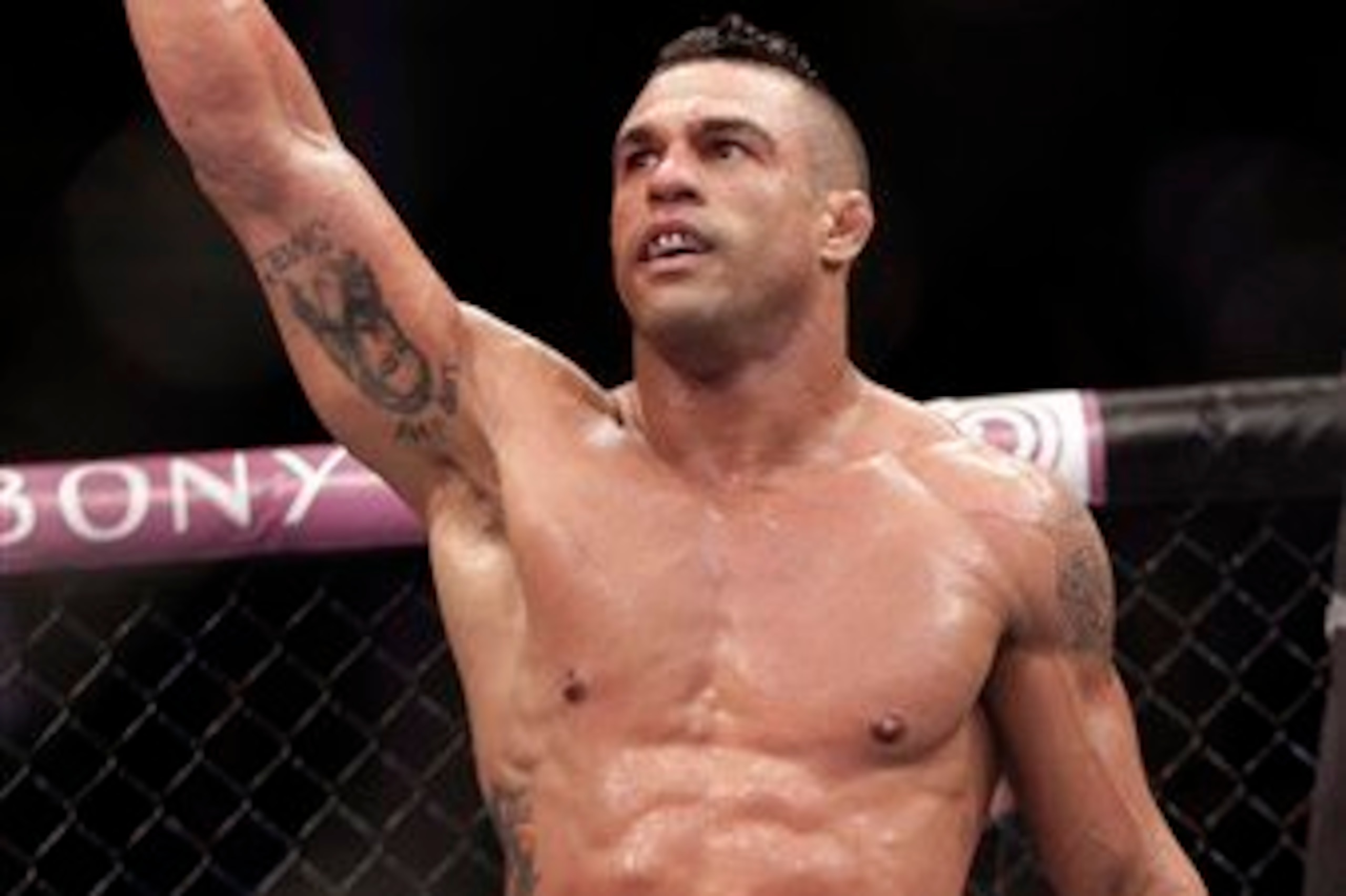 Belfort in 2013.