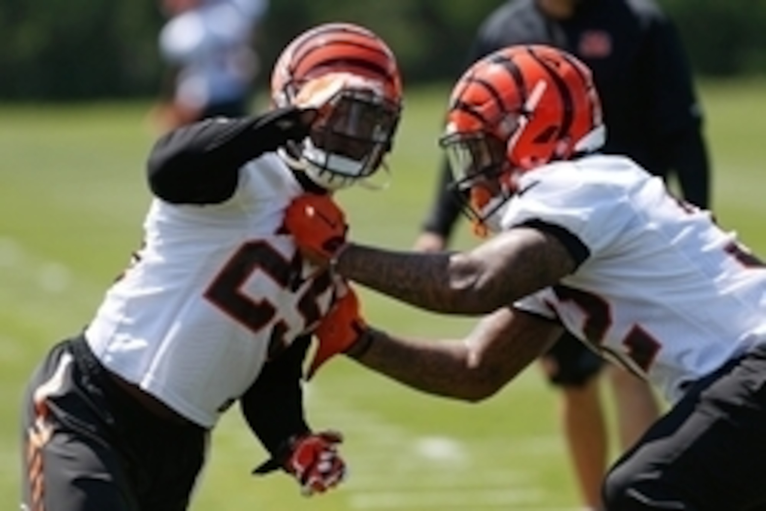 May 26, 2015; Cincinnati, OH, USA; Cincinnati Bengals running back Giovani Bernard (25) runs drills with running back Jeremy Hill (32) during OTAs at Paul Brown Stadium. Mandatory Credit: Aaron Doster-USA TODAY Sports May 26, 2015; Cincinnati, OH, USA; Cincinnati Bengals running back Giovani Bernard (25) runs drills with running back Jeremy Hill (32) during OTAs at Paul Brown Stadium. Mandatory Credit: Aaron Doster-USA TODAY Sports