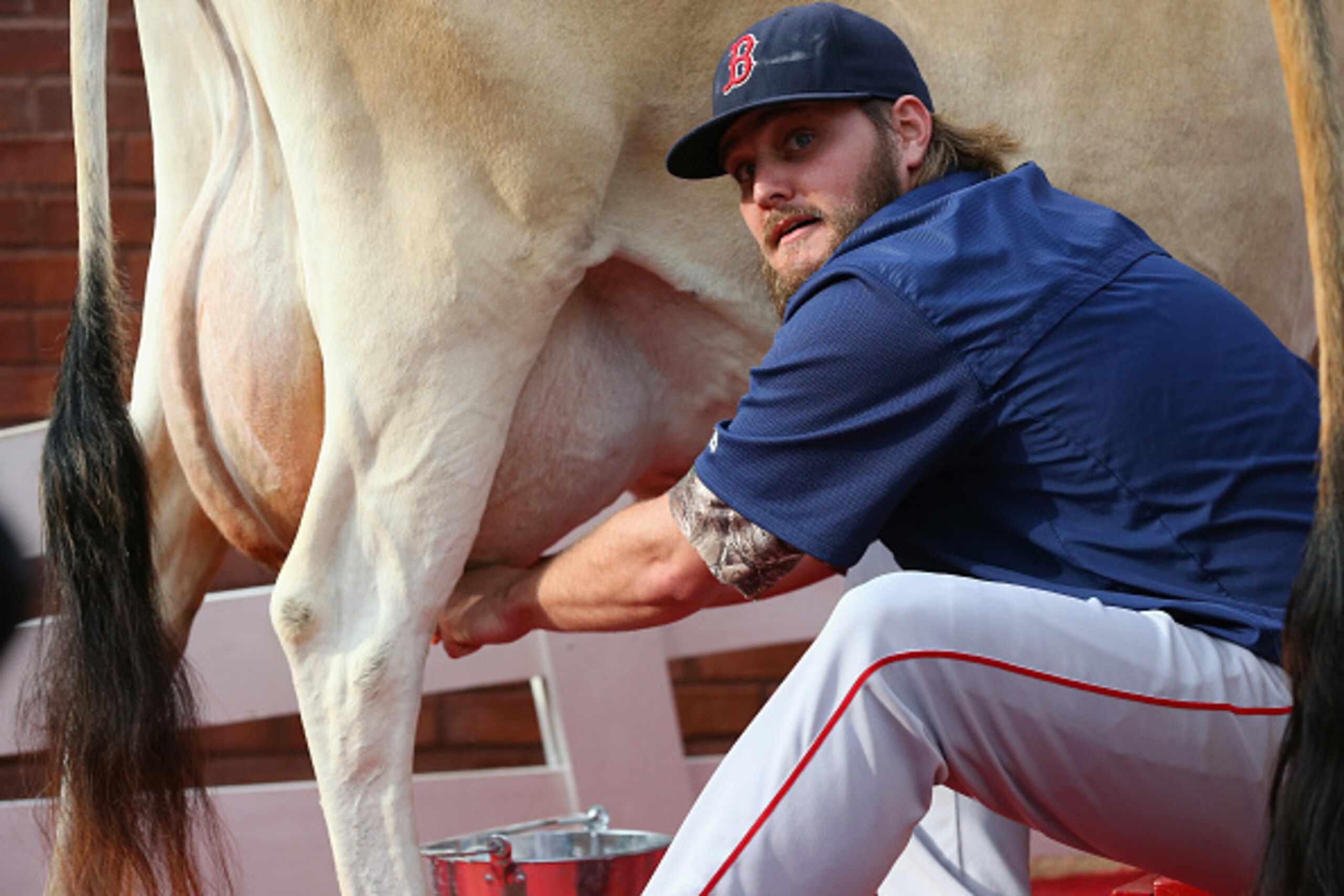 ARLINGTON, TX - MAY 29:  Wade Miley #20 of the Boston Red Sox competes in a cow milking contest prior to a game against the Texas Rangers at Globe Life Park in Arlington on May 29, 2015 in Arlington, Texas.  (Photo by Ronald Martinez/Getty Images)