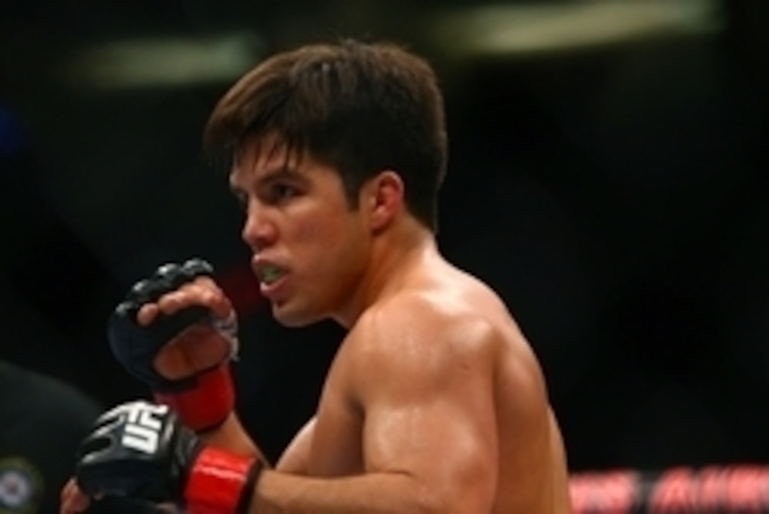 December 13, 2014; Phoenix, AZ, USA; Henry Cejudo fights during UFC Fight Night at US Airways Center. Mandatory Credit: Mark J. Rebilas-USA TODAY Sports