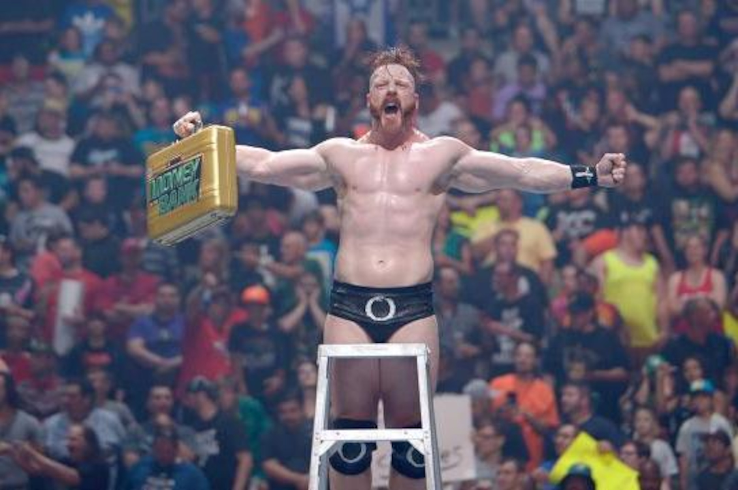 Sheamus celebrates his Money in the Bank win.