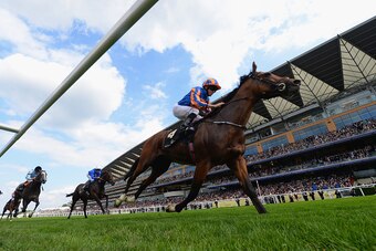 ASCOT, ENGLAND - JUNE 16:  Ryan Moore riding Gleneagles wins The St James's Palace Stakes during Day 1 of Royal Ascot 2015 at Ascot Racecourse on June 16, 2015 in Ascot, England.  (Photo by Christopher Lee/Getty Images)